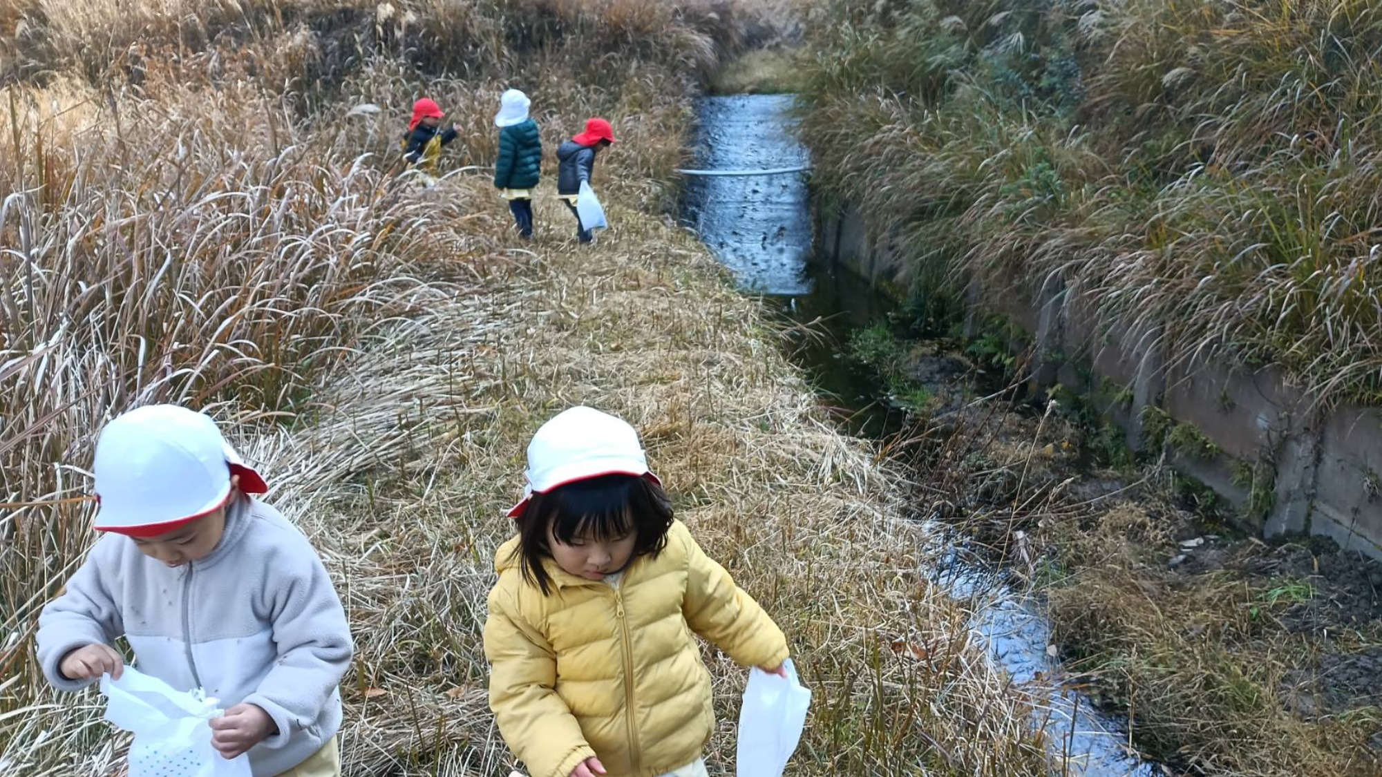 【くも】12/11 村積山 園外保育