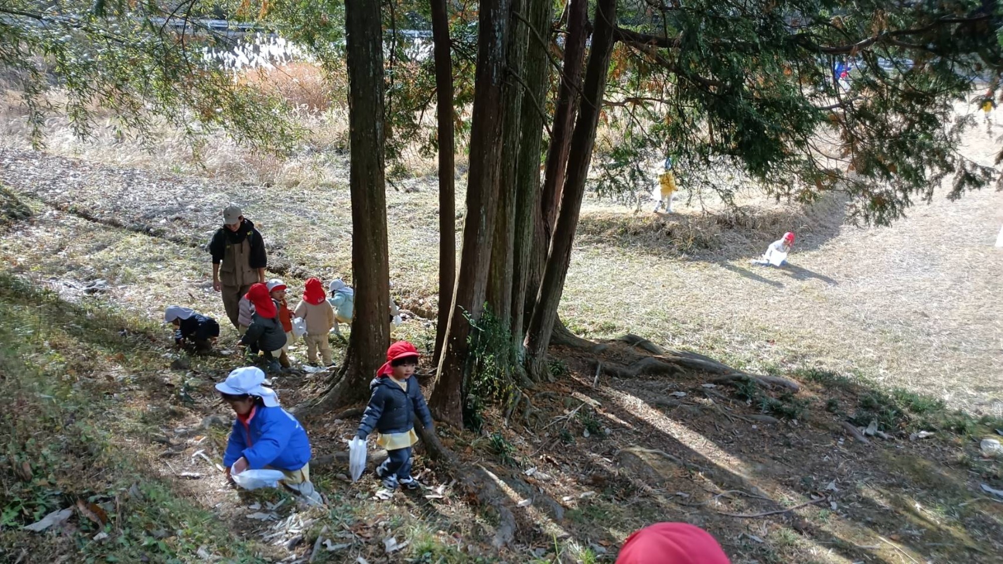 【くも】12/11 村積山 園外保育