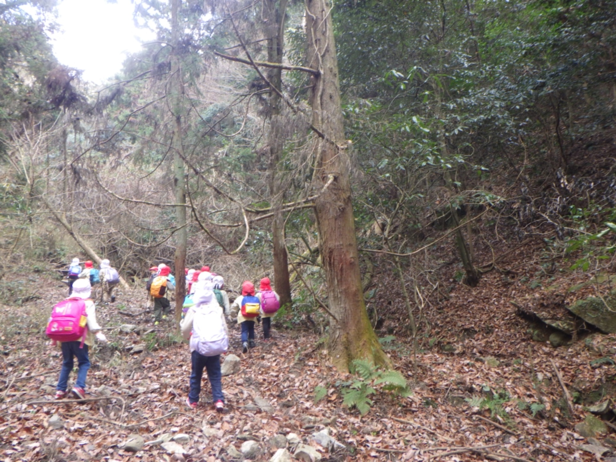 【年長】1/8　村積山　園外保育（1/3）