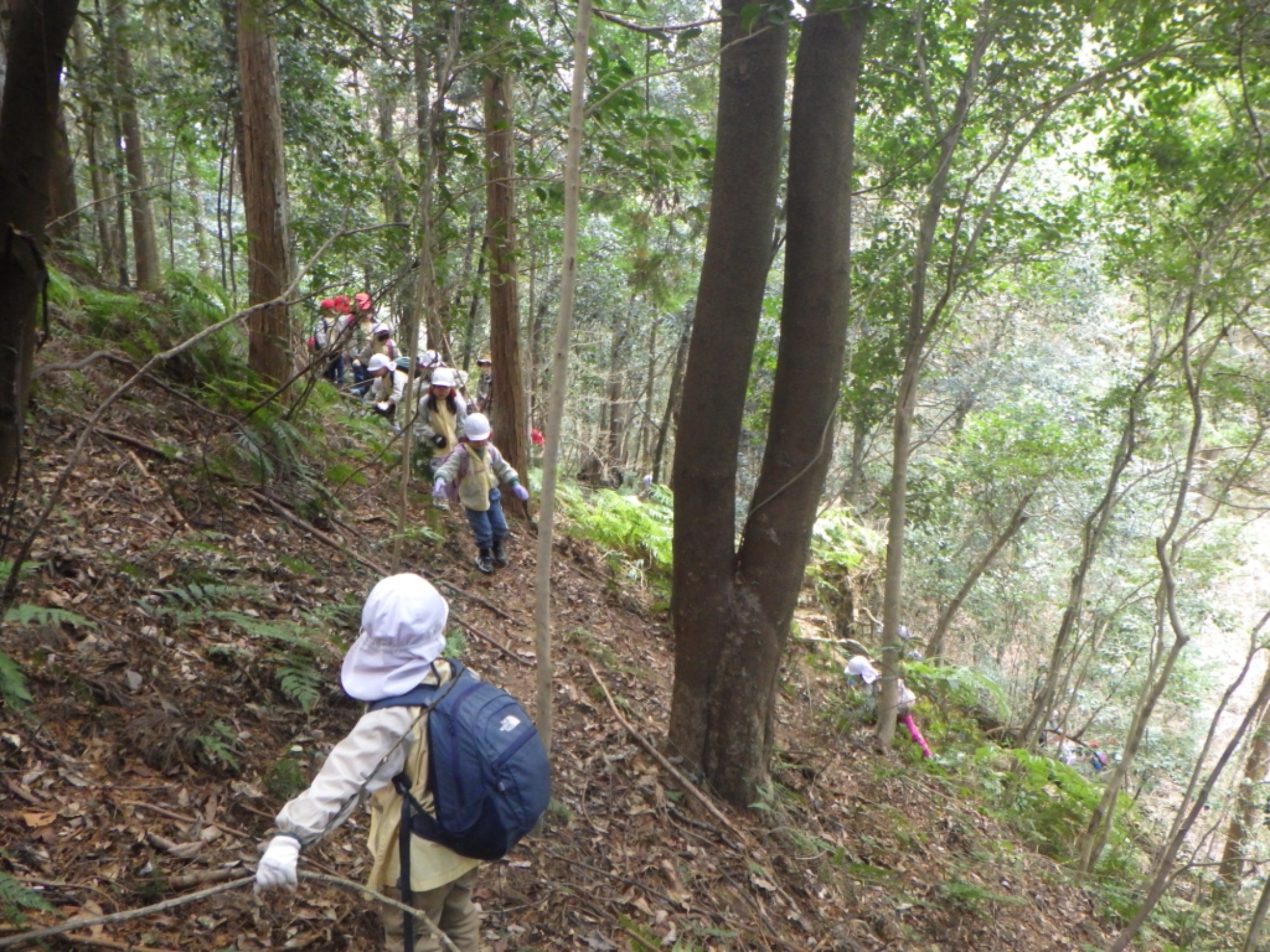 【年長】1/8　村積山　園外保育（1/3）
