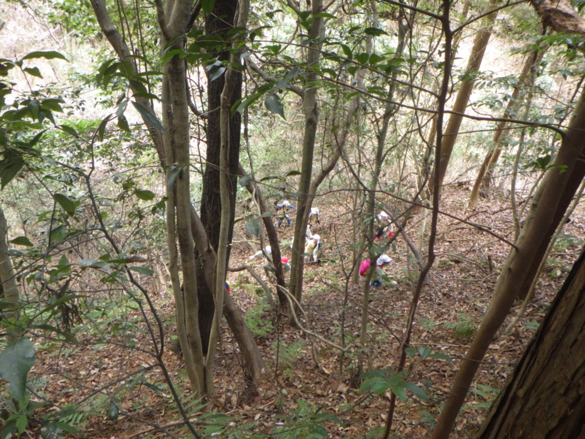 【年長】1/8　村積山　園外保育（1/3）