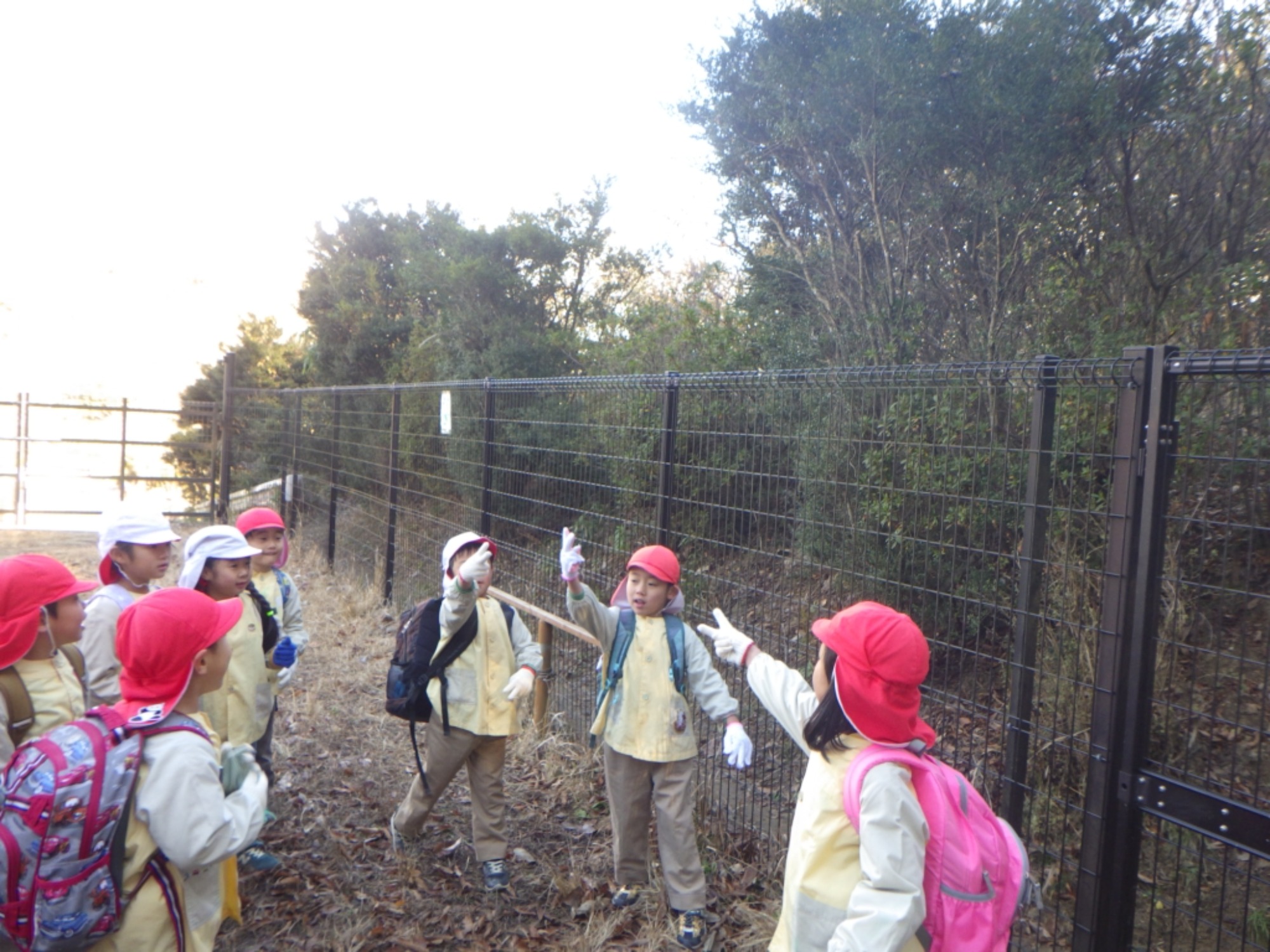 【年長】1/8　村積山　園外保育（1/3）