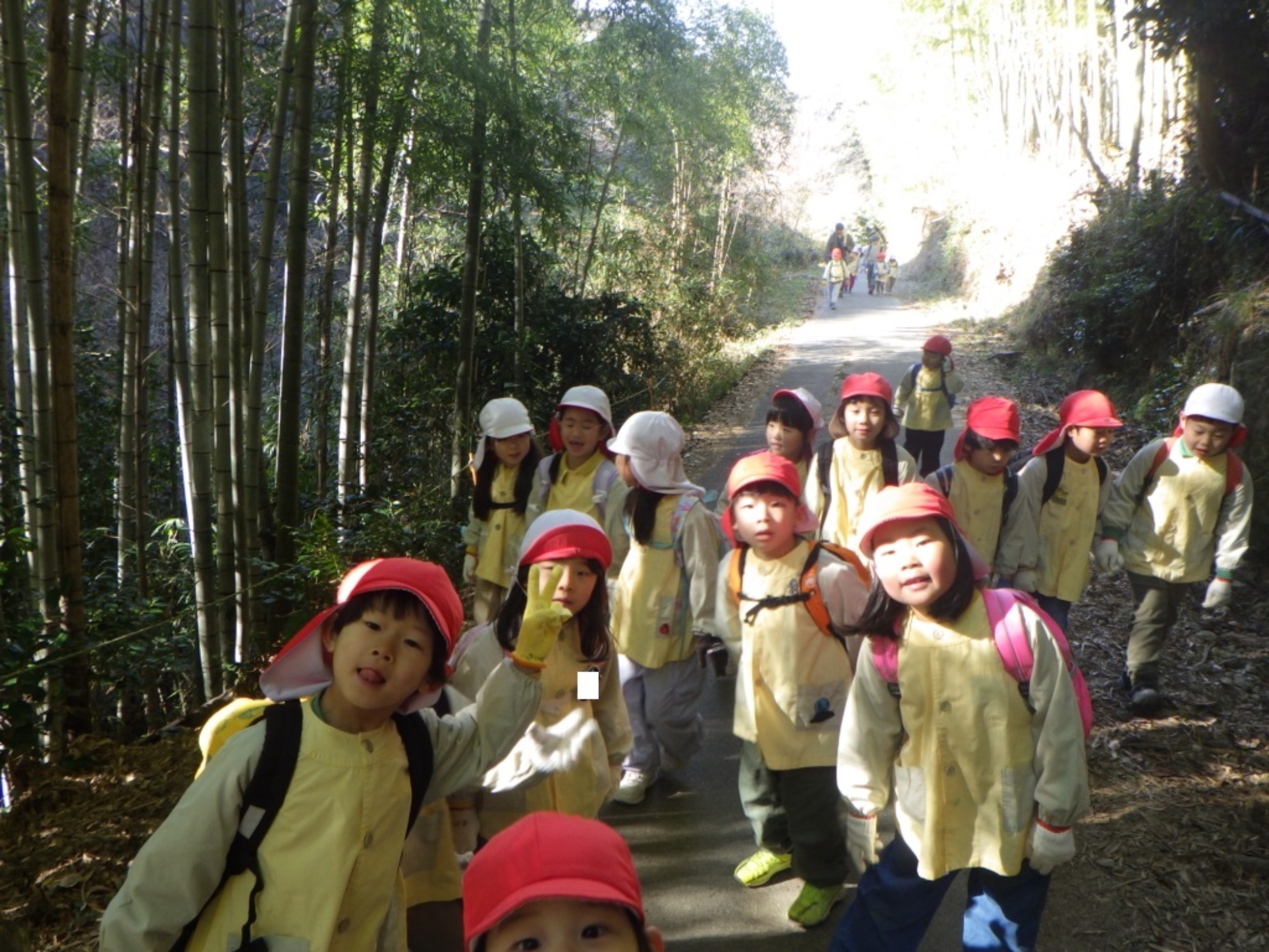 【年長】1/8　村積山　園外保育（1/3）