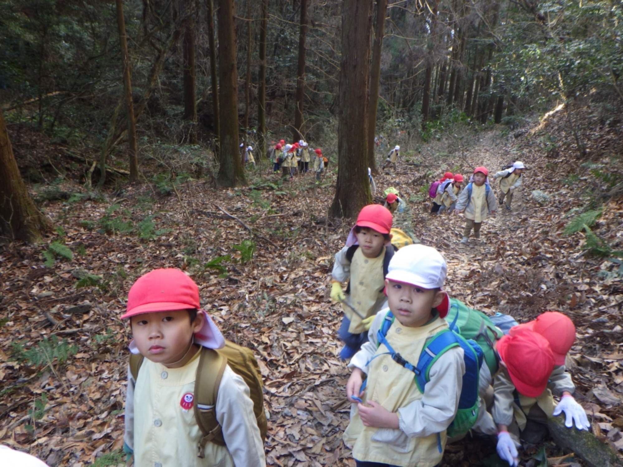 【年長】1/8　村積山　園外保育（1/3）
