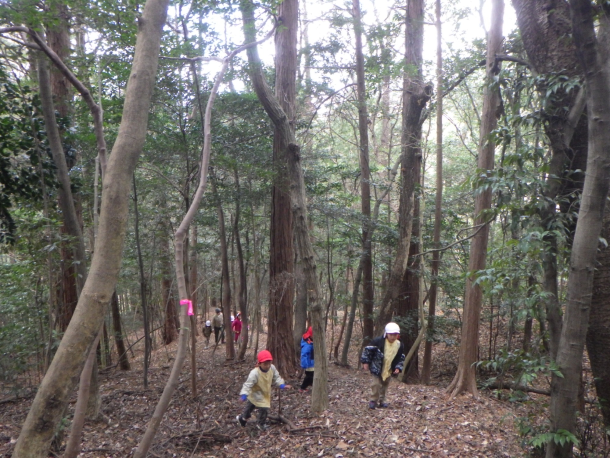 【年長】1/8　村積山　園外保育（2/3）