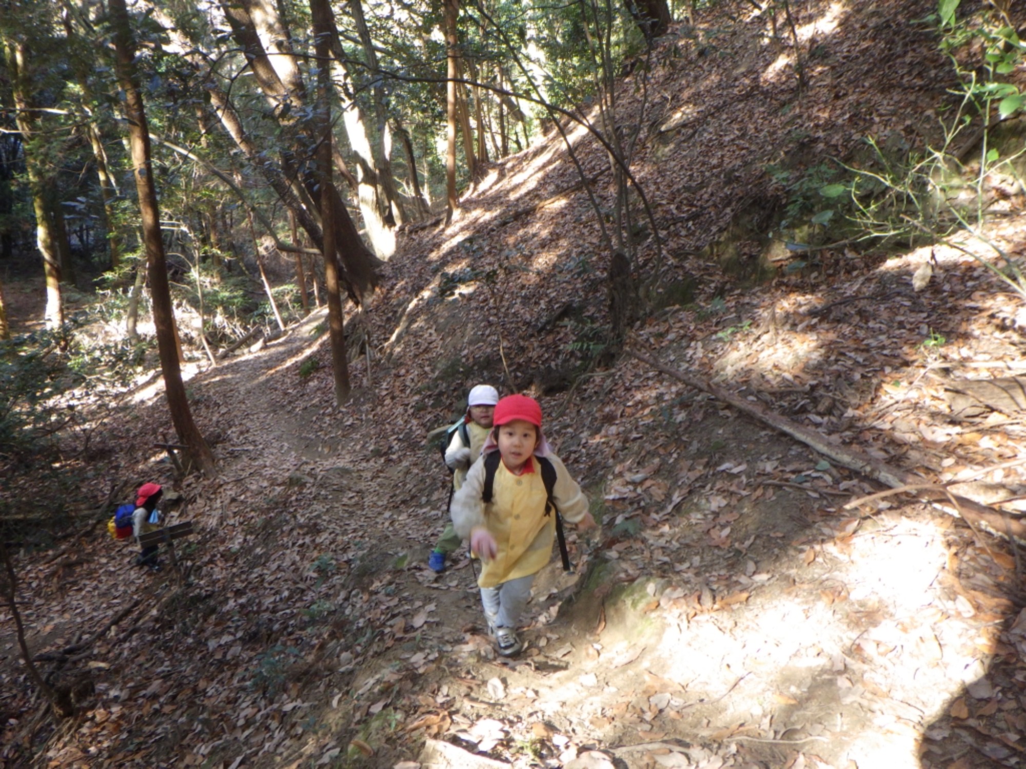 【年長】1/8　村積山　園外保育（2/3）