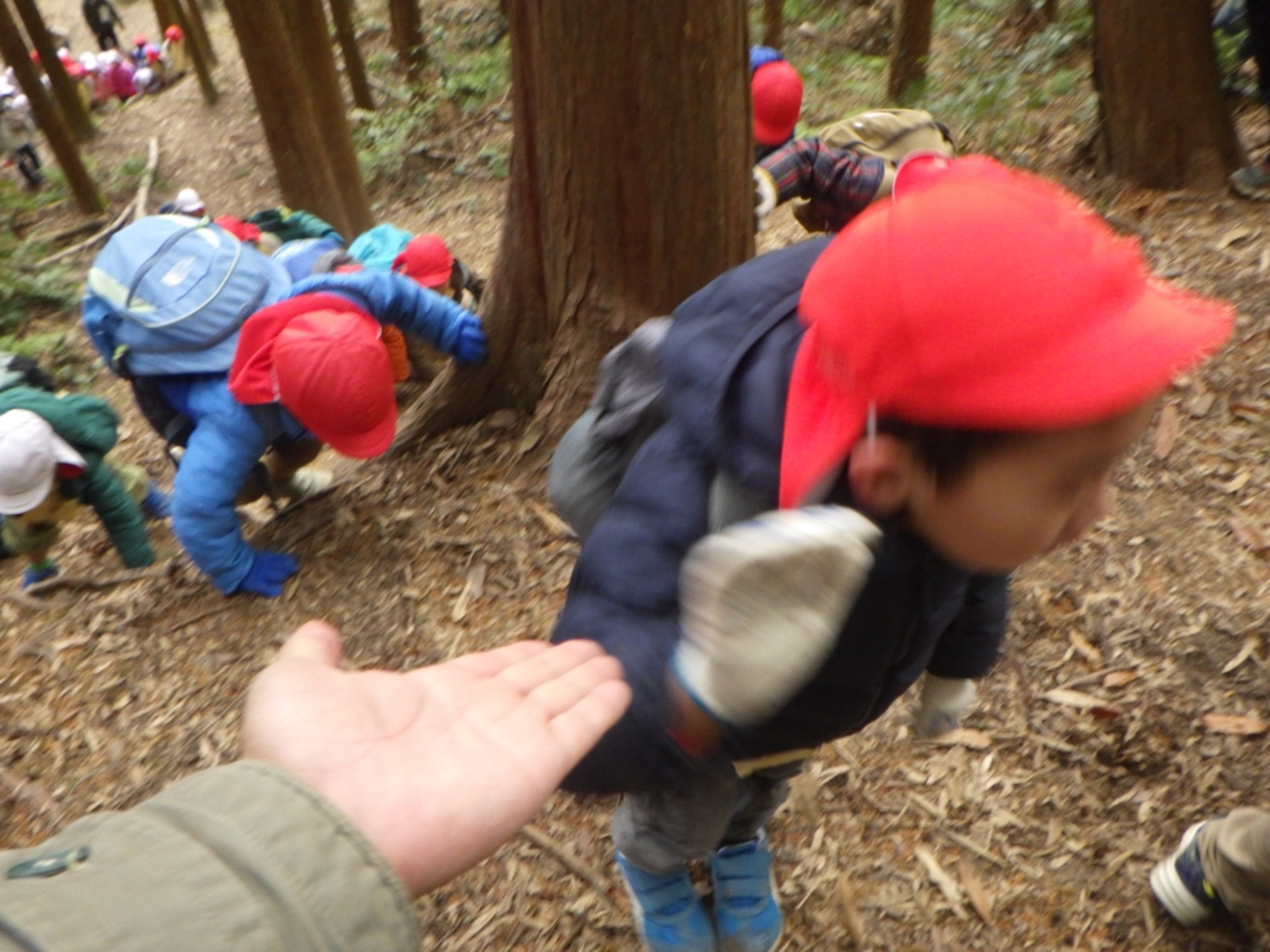 【年長】1/8　村積山　園外保育（3/3）