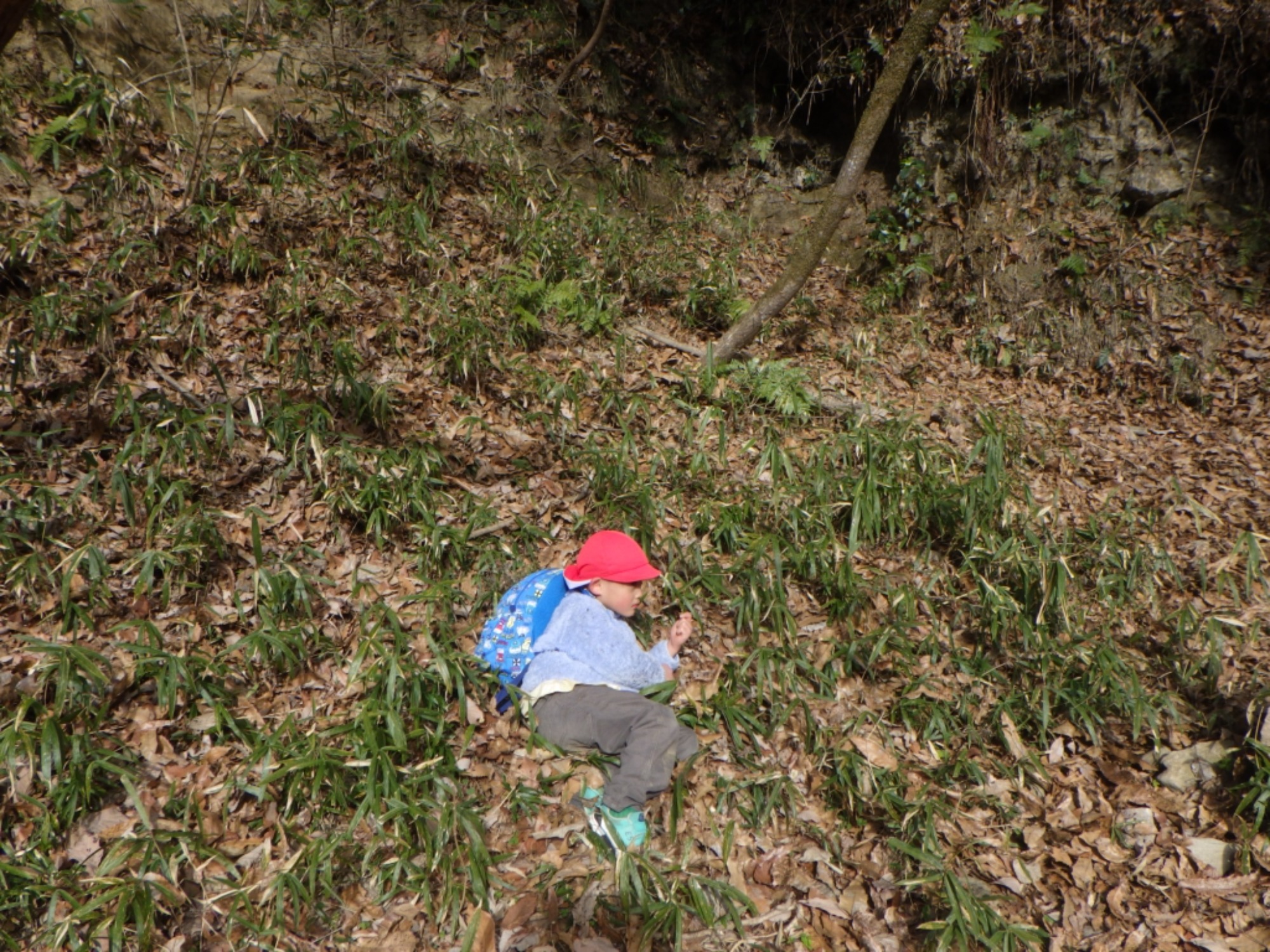 【年長】1/8　村積山　園外保育（3/3）