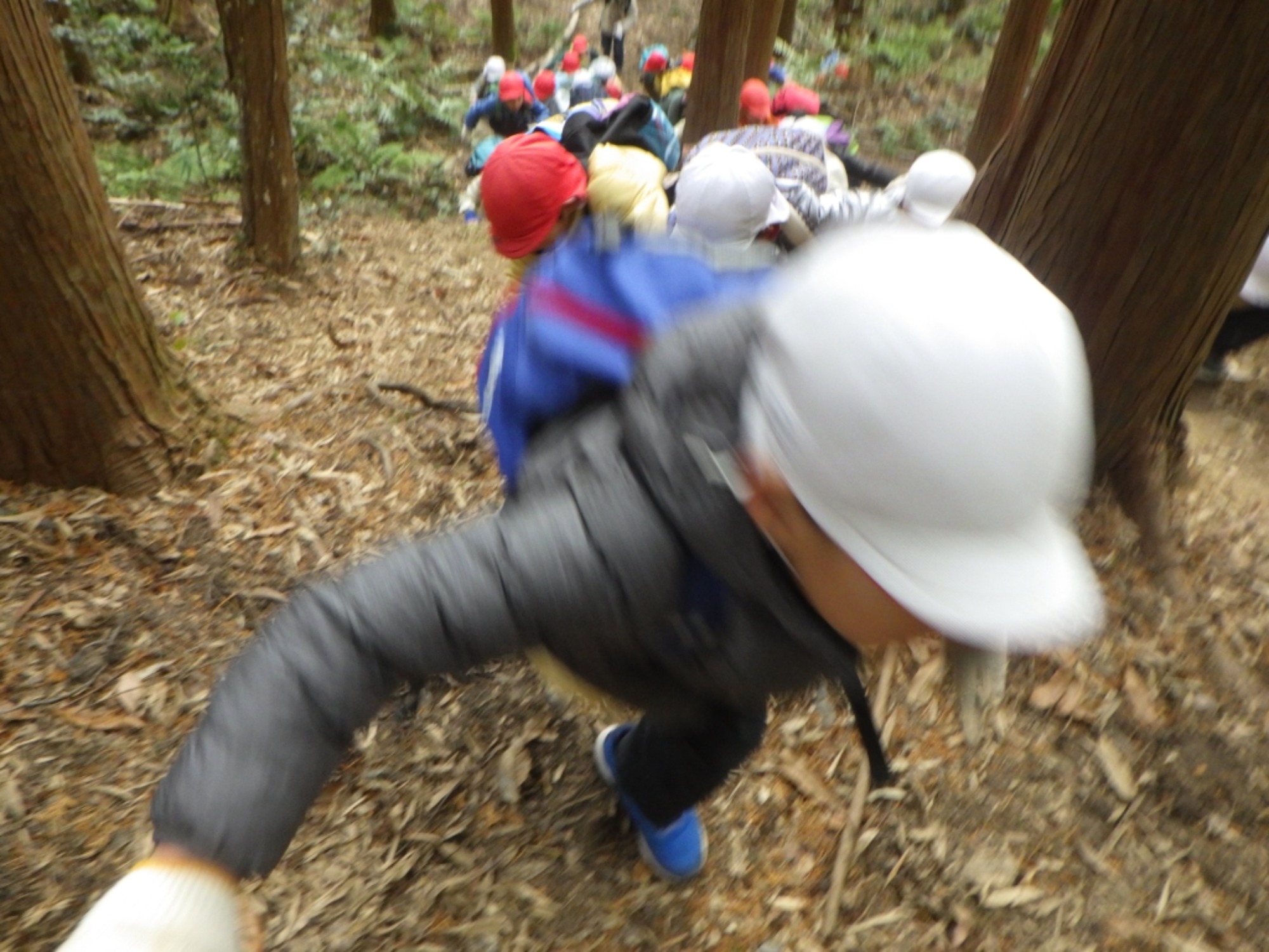 【年長】1/8　村積山　園外保育（3/3）