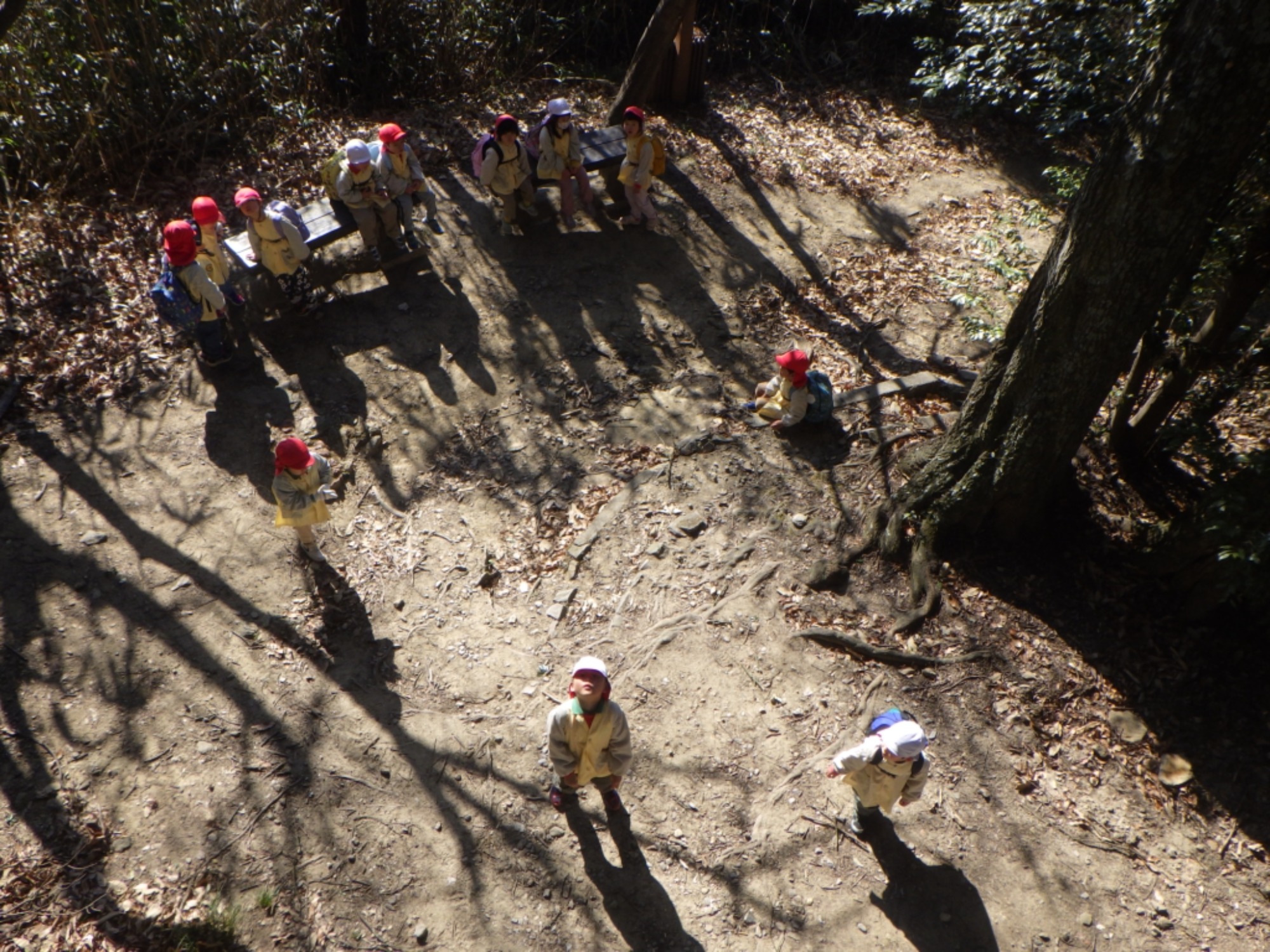 【年中】1/13　村積山　園外保育（1/2）