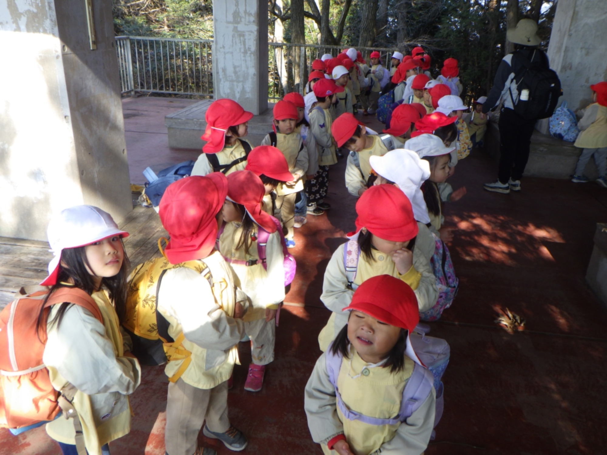 【年中】1/13　村積山　園外保育（1/2）