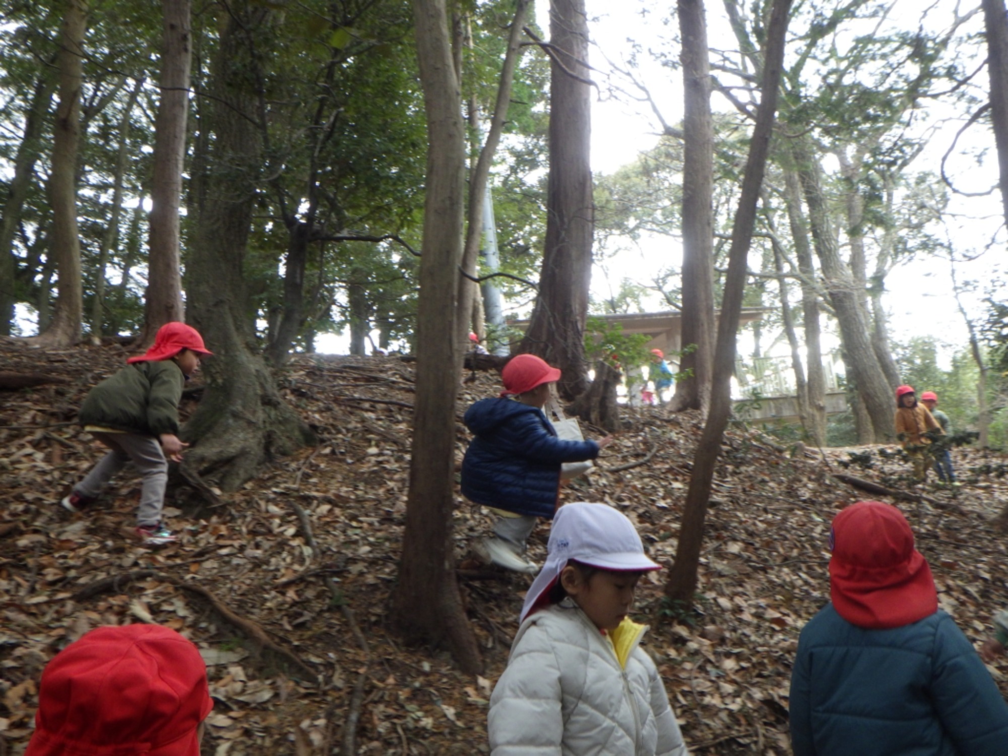 【年中】1/13　村積山　園外保育（1/2）