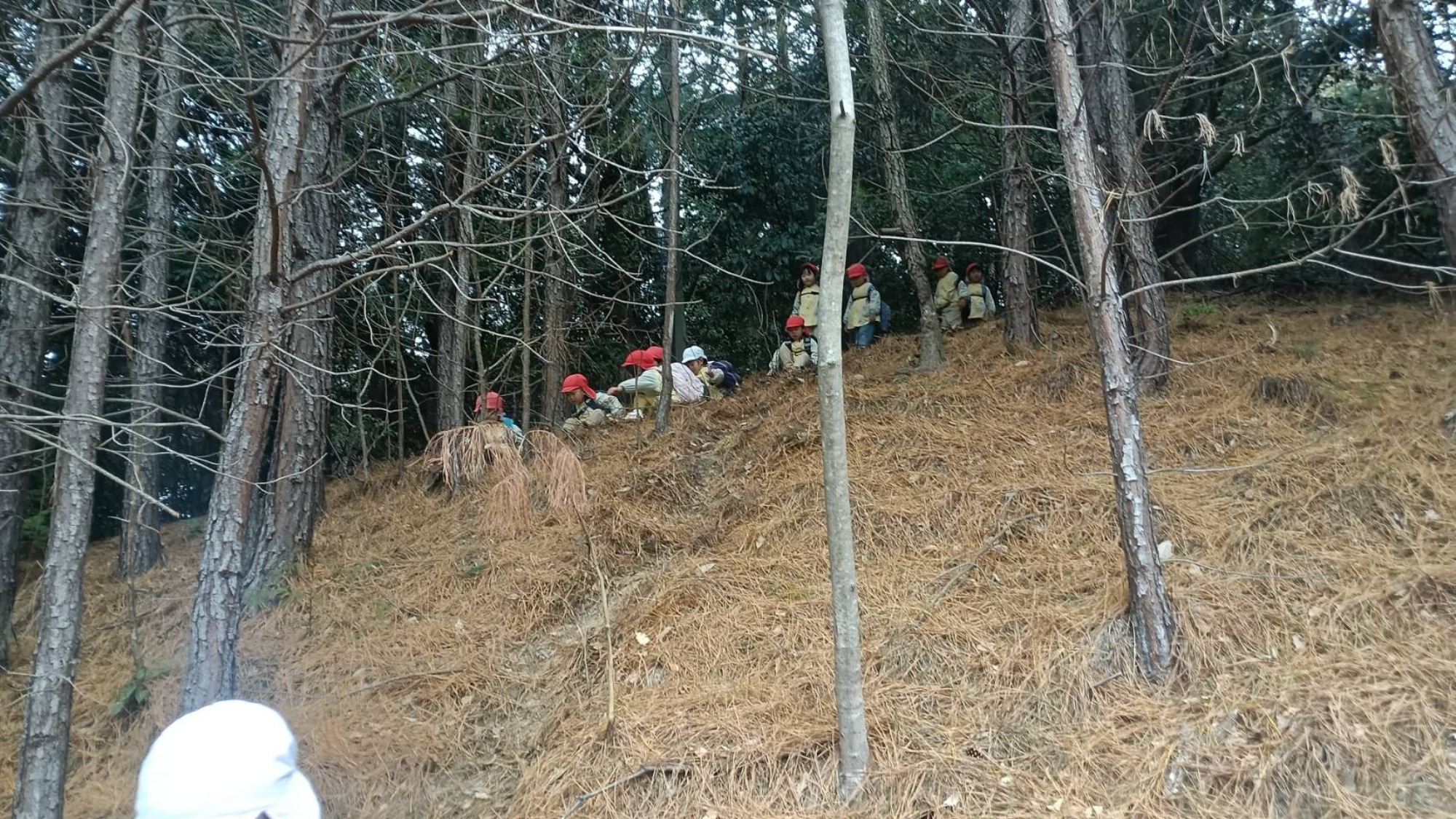 【年中】1/13　村積山　園外保育（1/2）