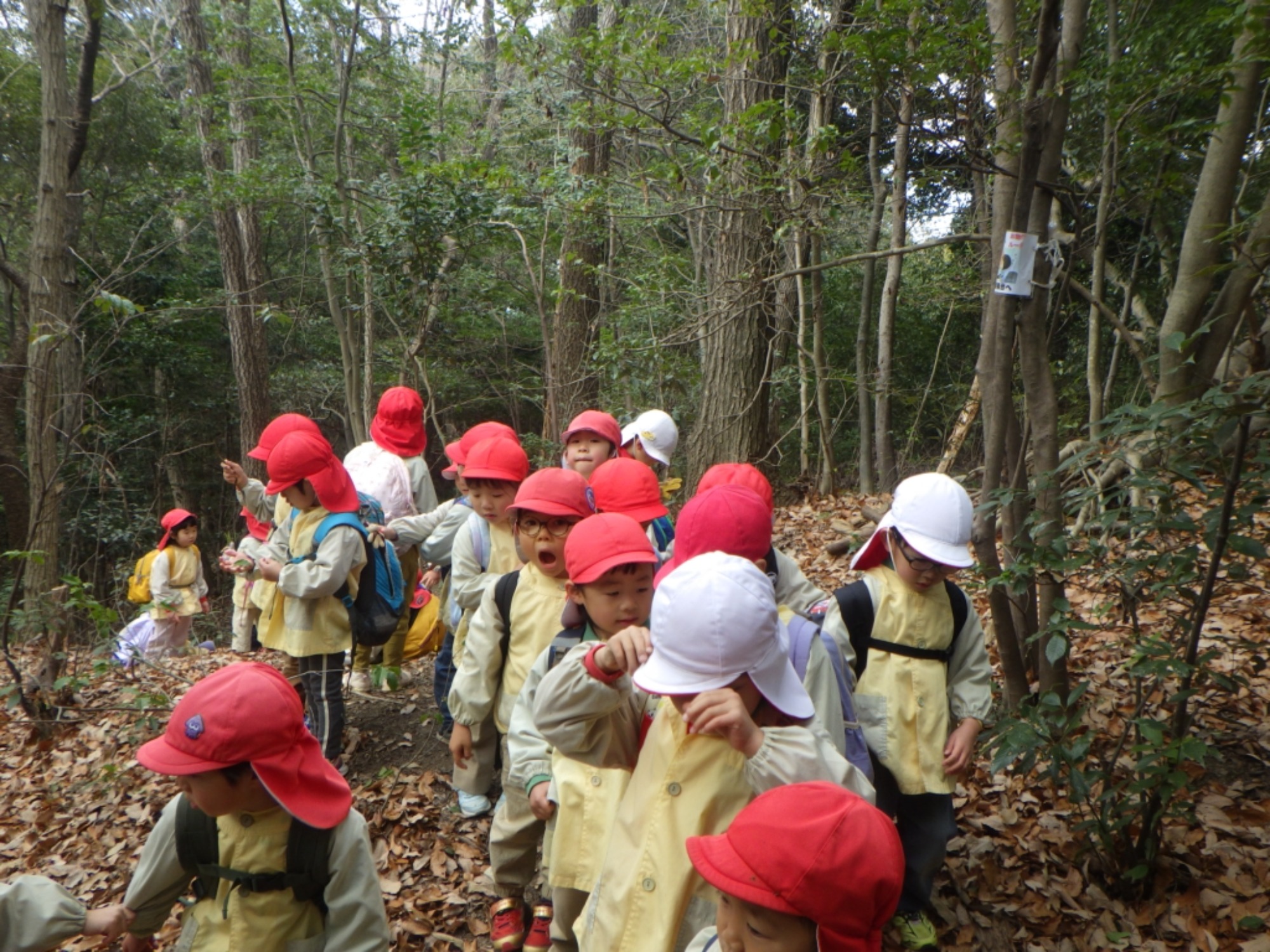 【年中】1/13　村積山　園外保育（1/2）