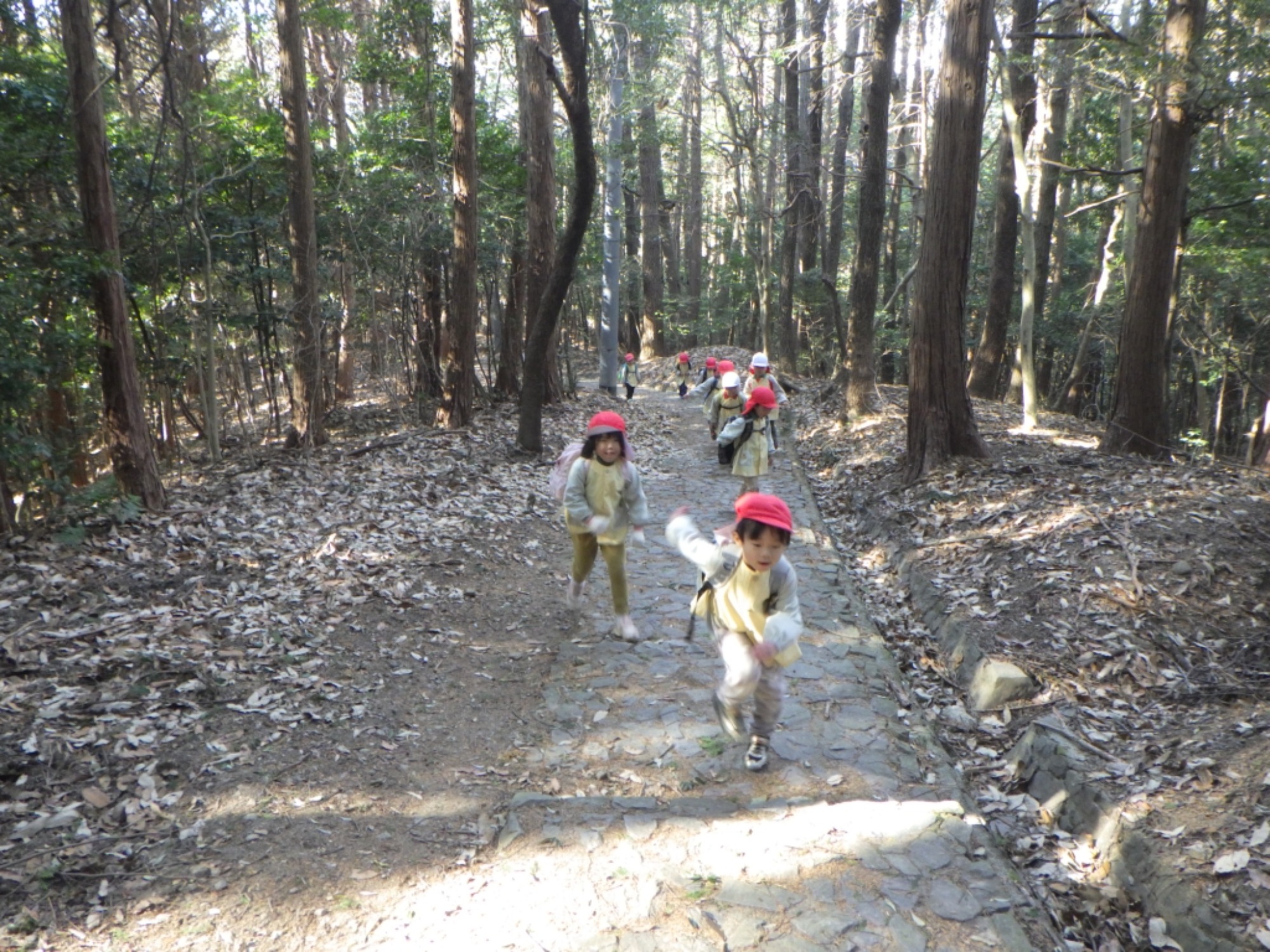 【年中】1/13　村積山　園外保育（1/2）