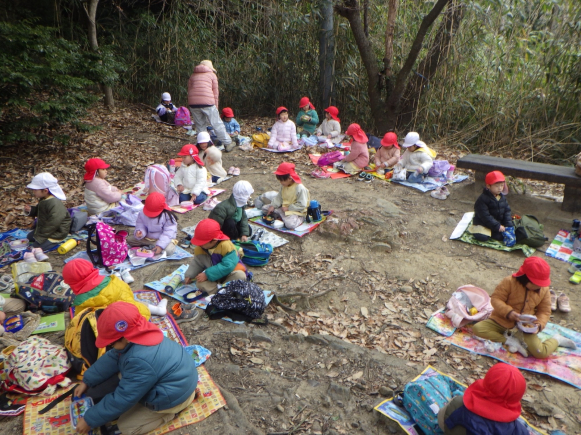 【年中】1/13　村積山　園外保育（2/2）