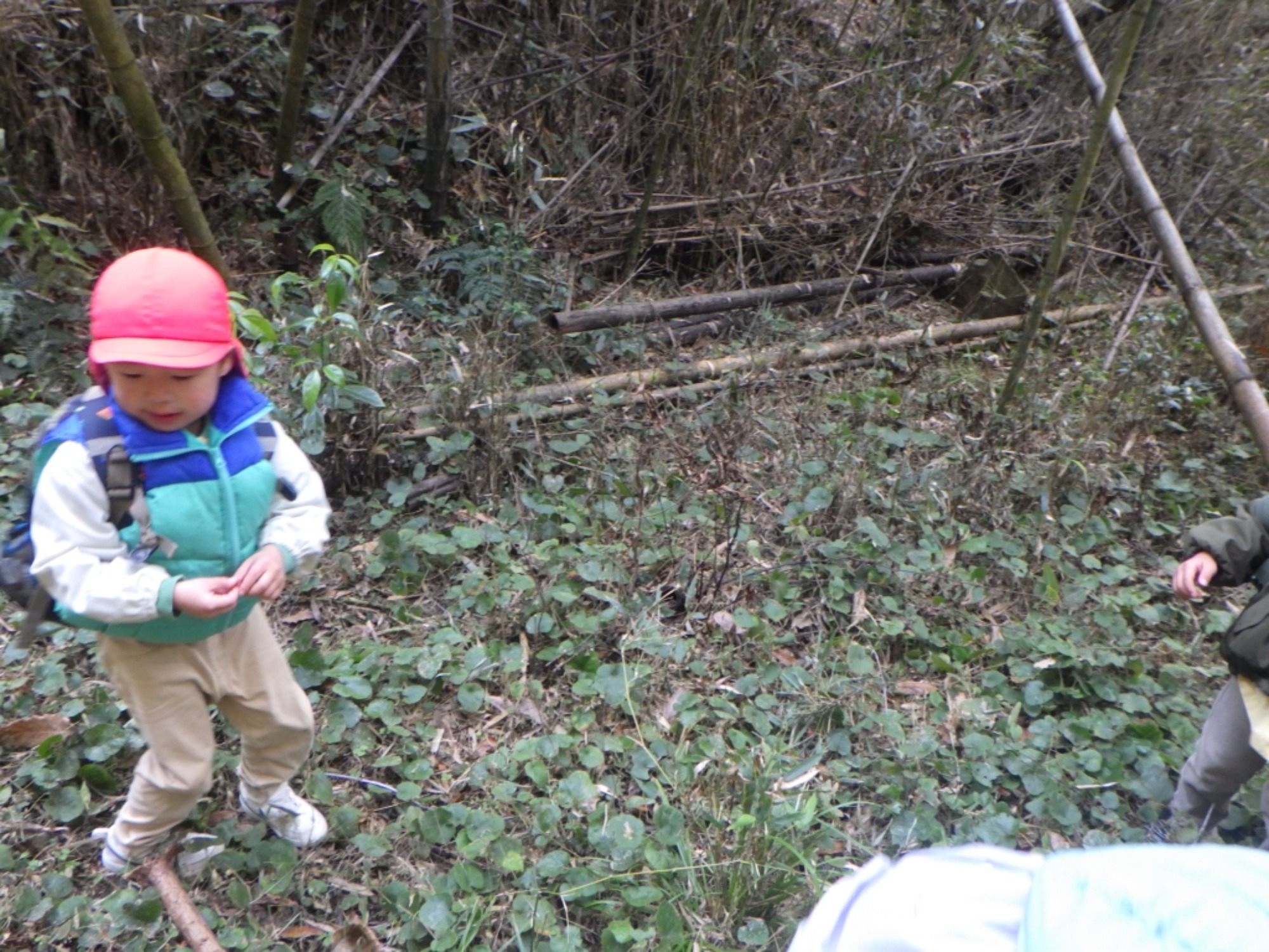 【年中】1/13　村積山　園外保育（2/2）