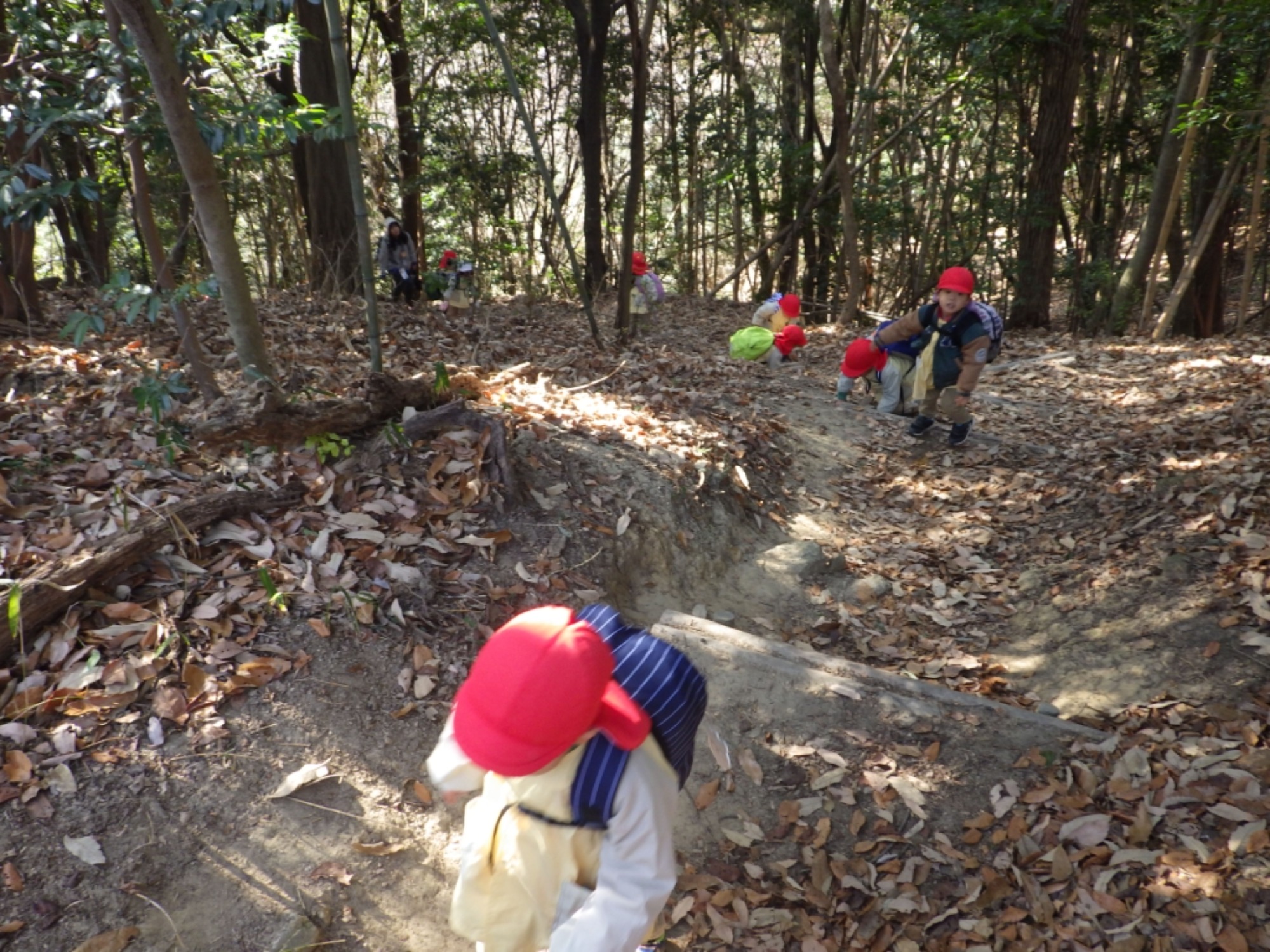 【年少】1/19　村積山　園外保育（1/2）