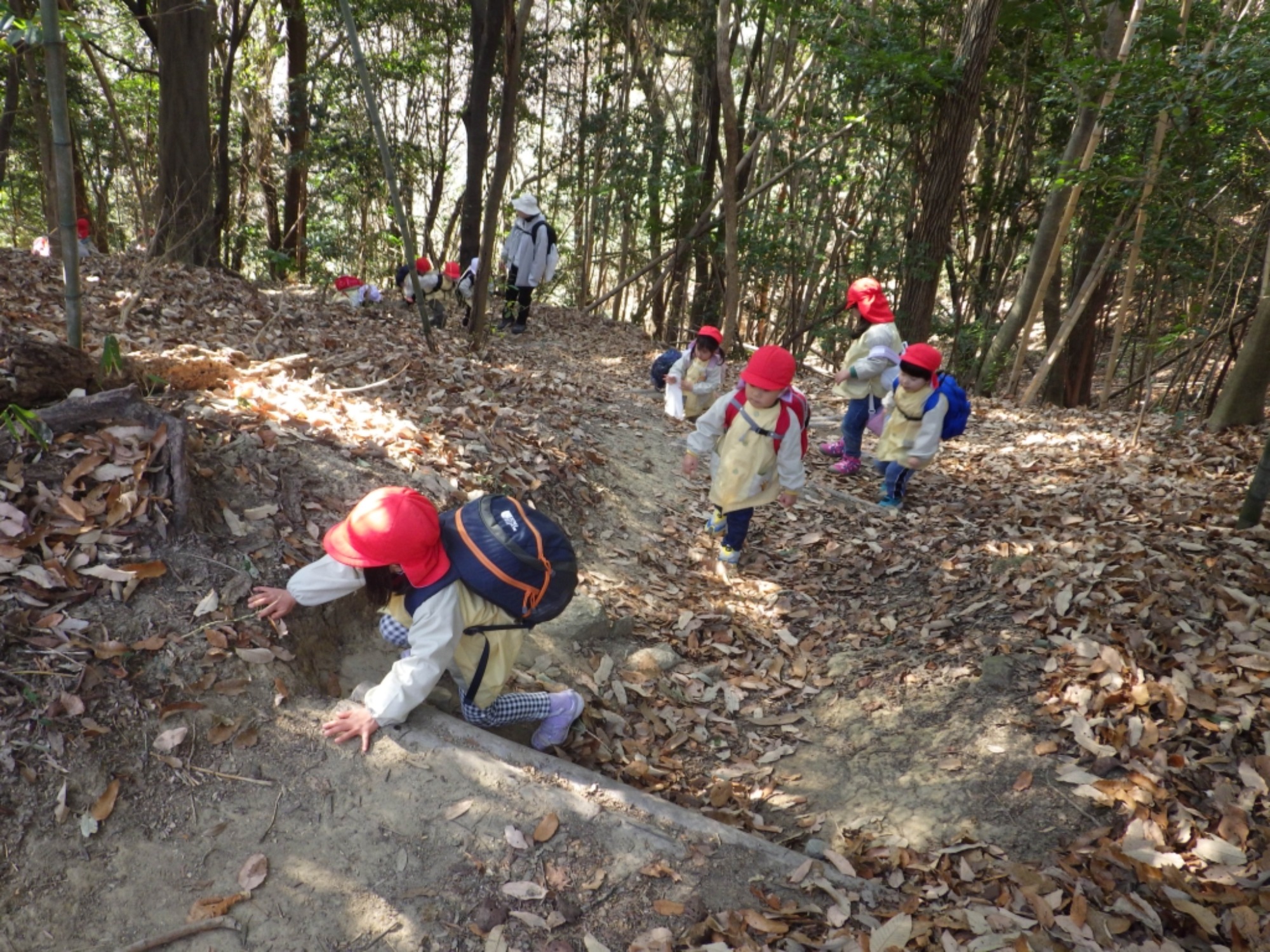 【年少】1/19　村積山　園外保育（1/2）
