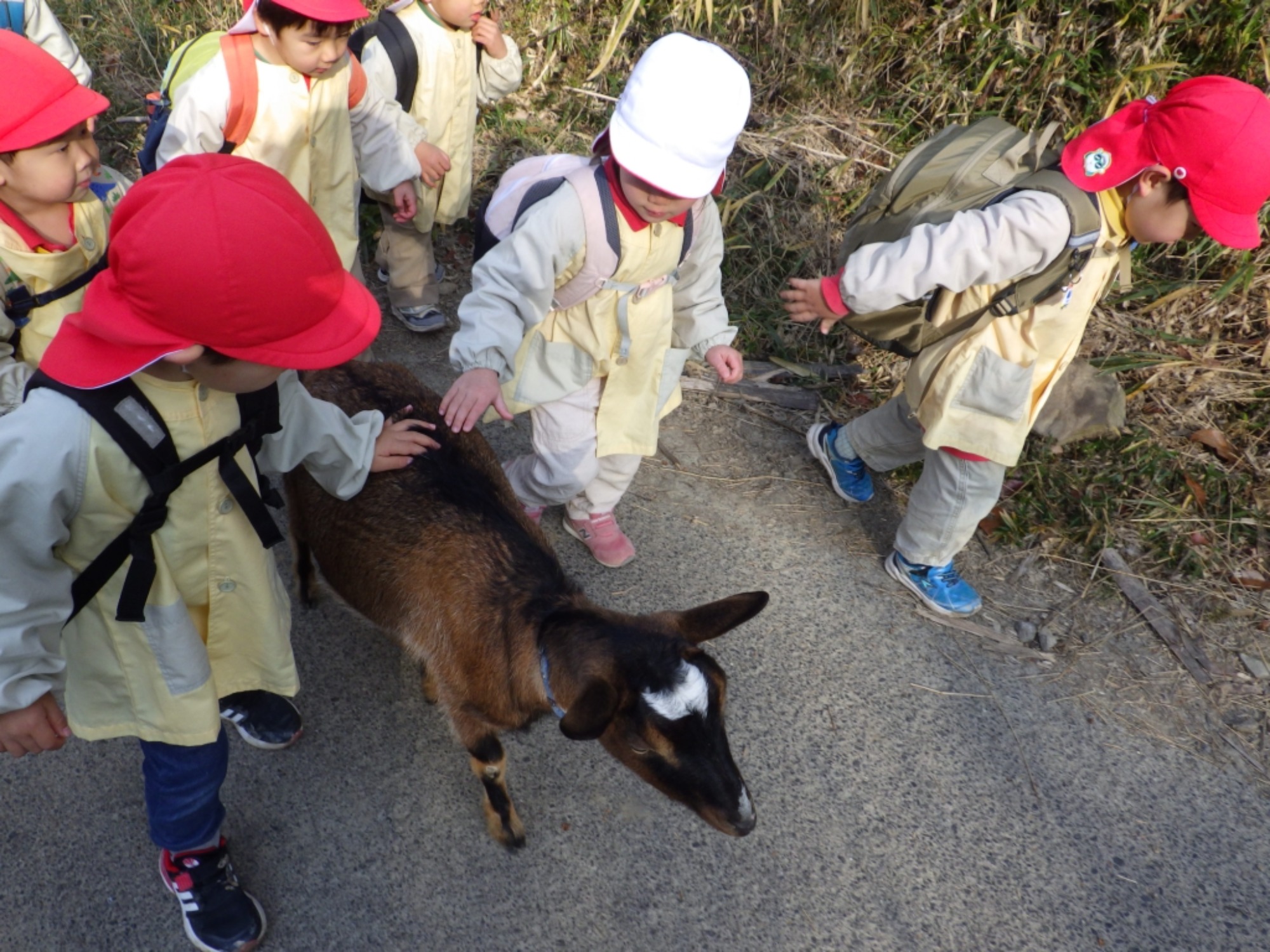 【年少】1/19　村積山　園外保育（1/2）