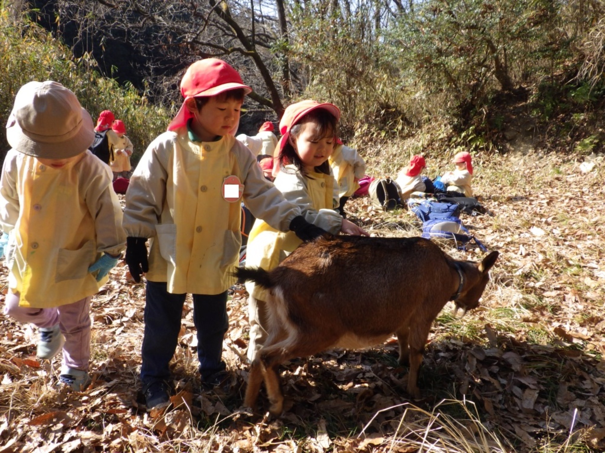 【年少】1/19　村積山　園外保育（1/2）