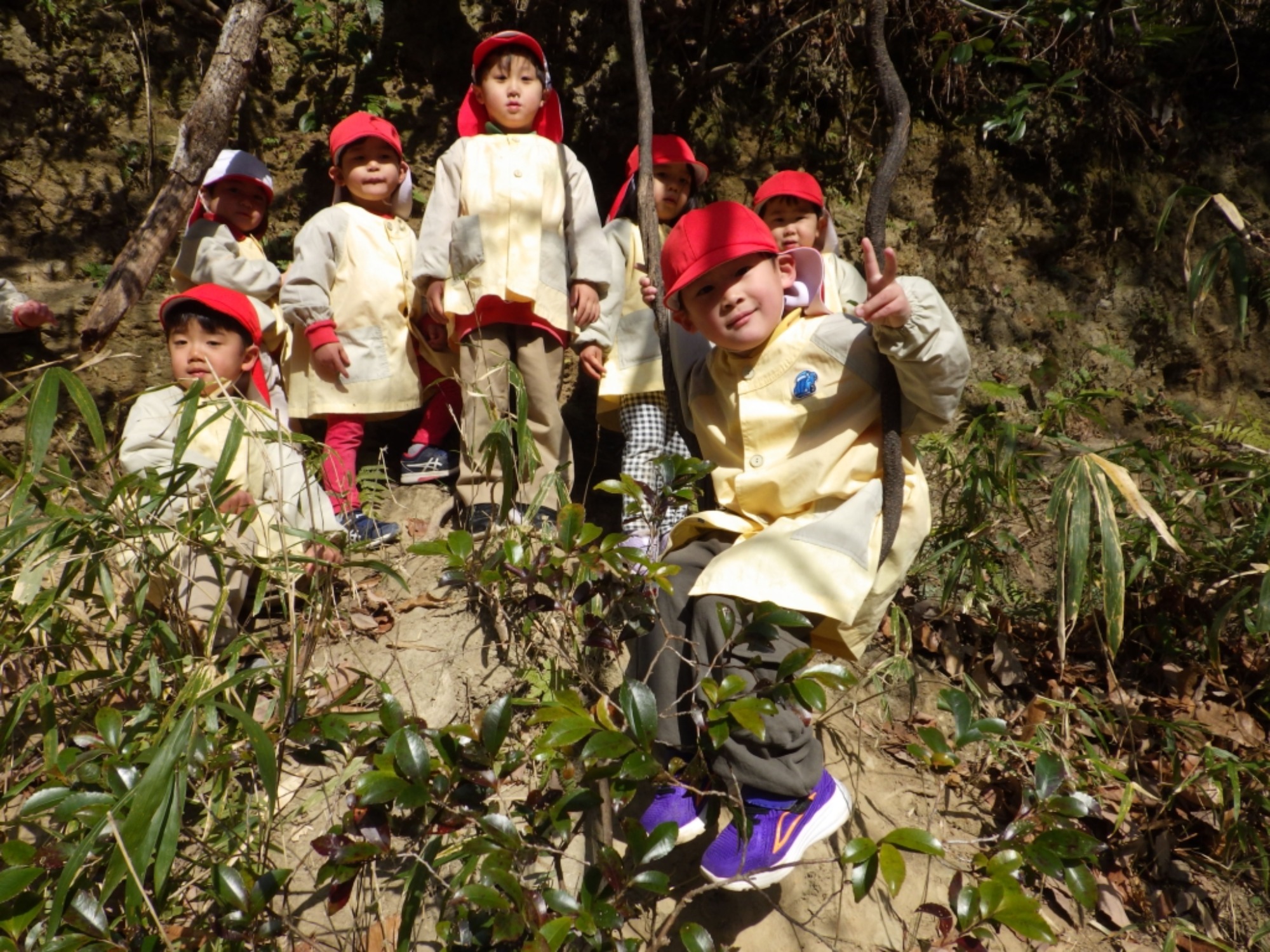 【年少】1/19　村積山　園外保育（1/2）