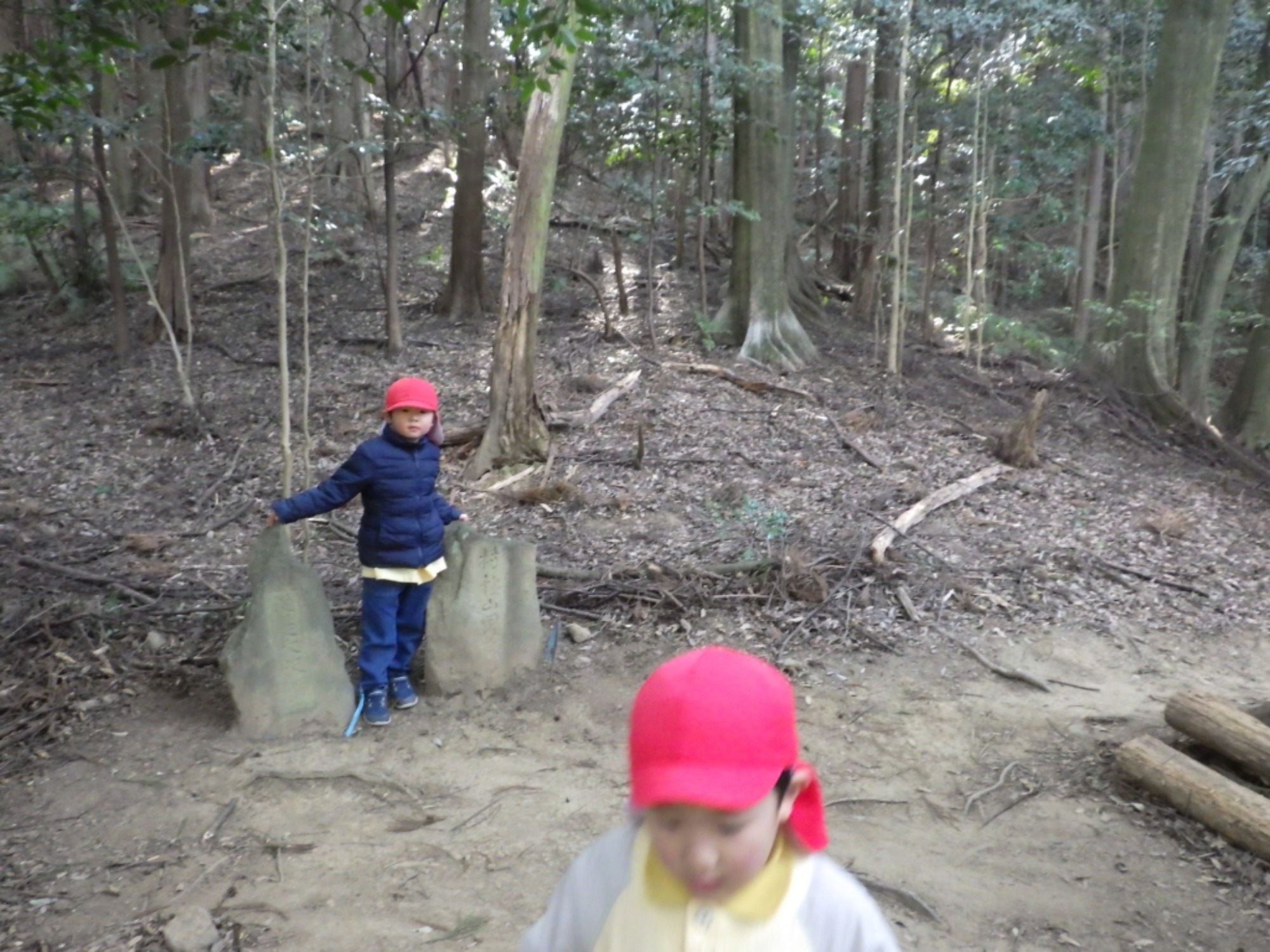 【年少】1/19　村積山　園外保育（2/2）