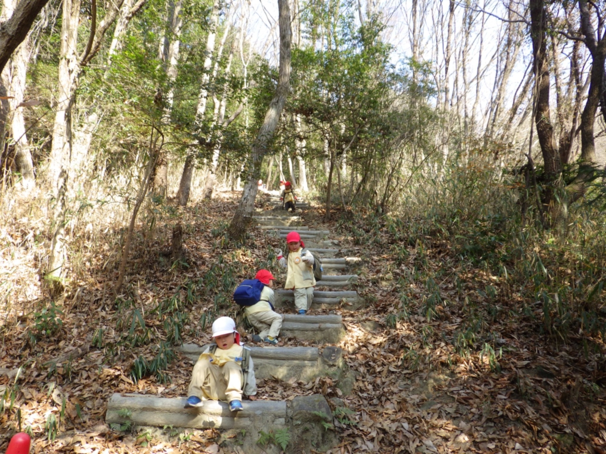 【年少】1/19　村積山　園外保育（2/2）