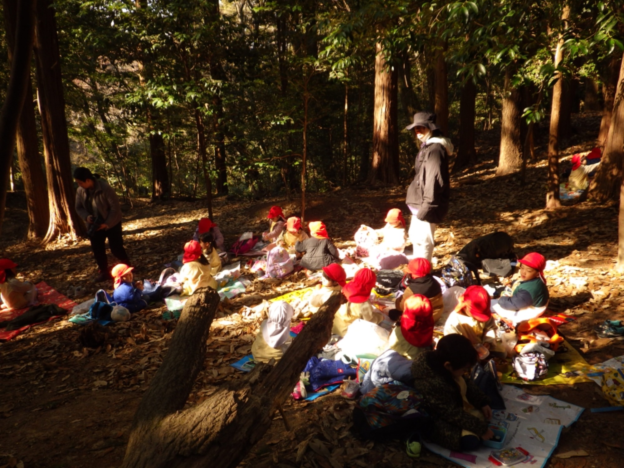 【年少】1/19　村積山　園外保育（2/2）