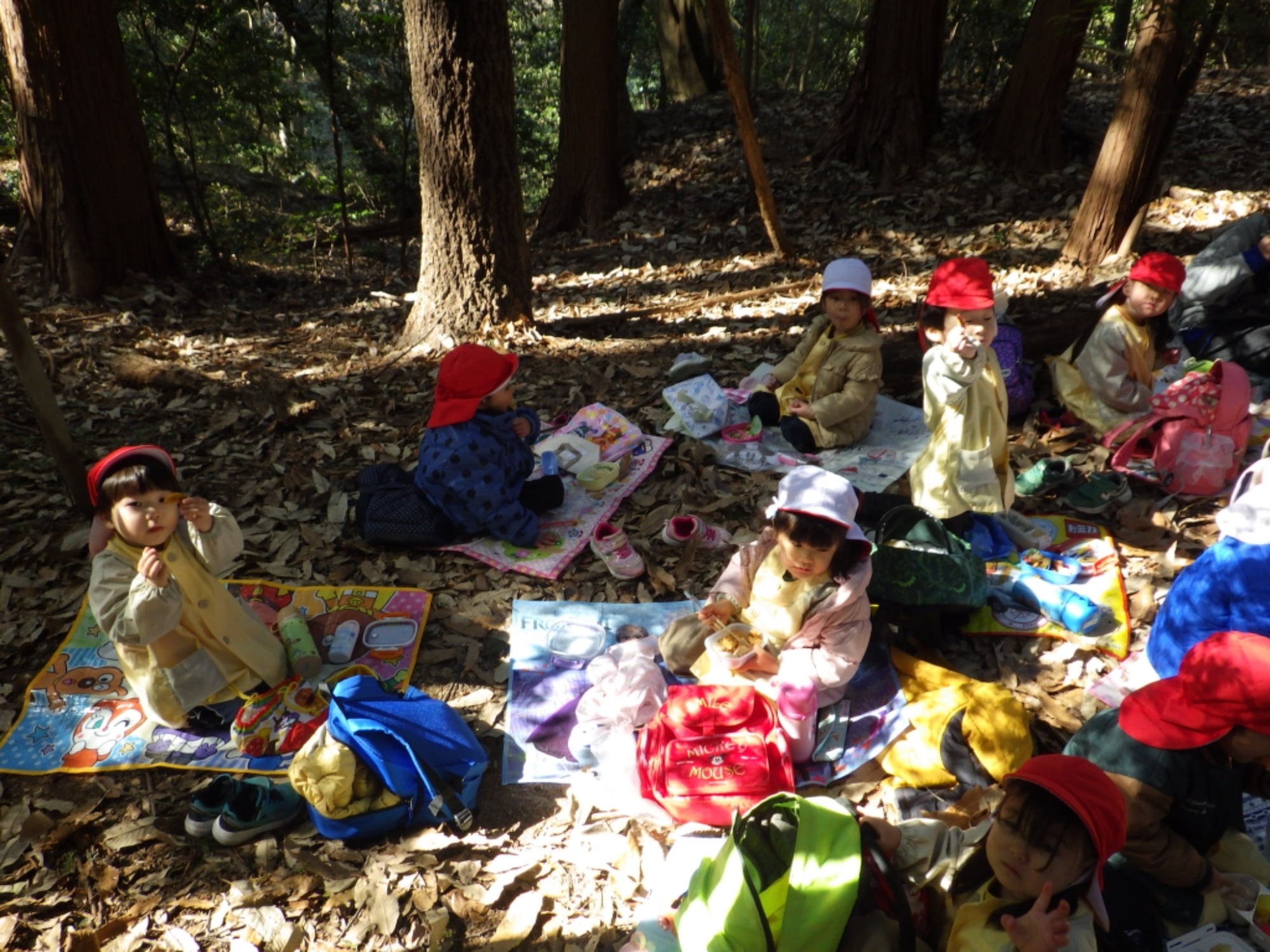 【年少】1/19　村積山　園外保育（2/2）