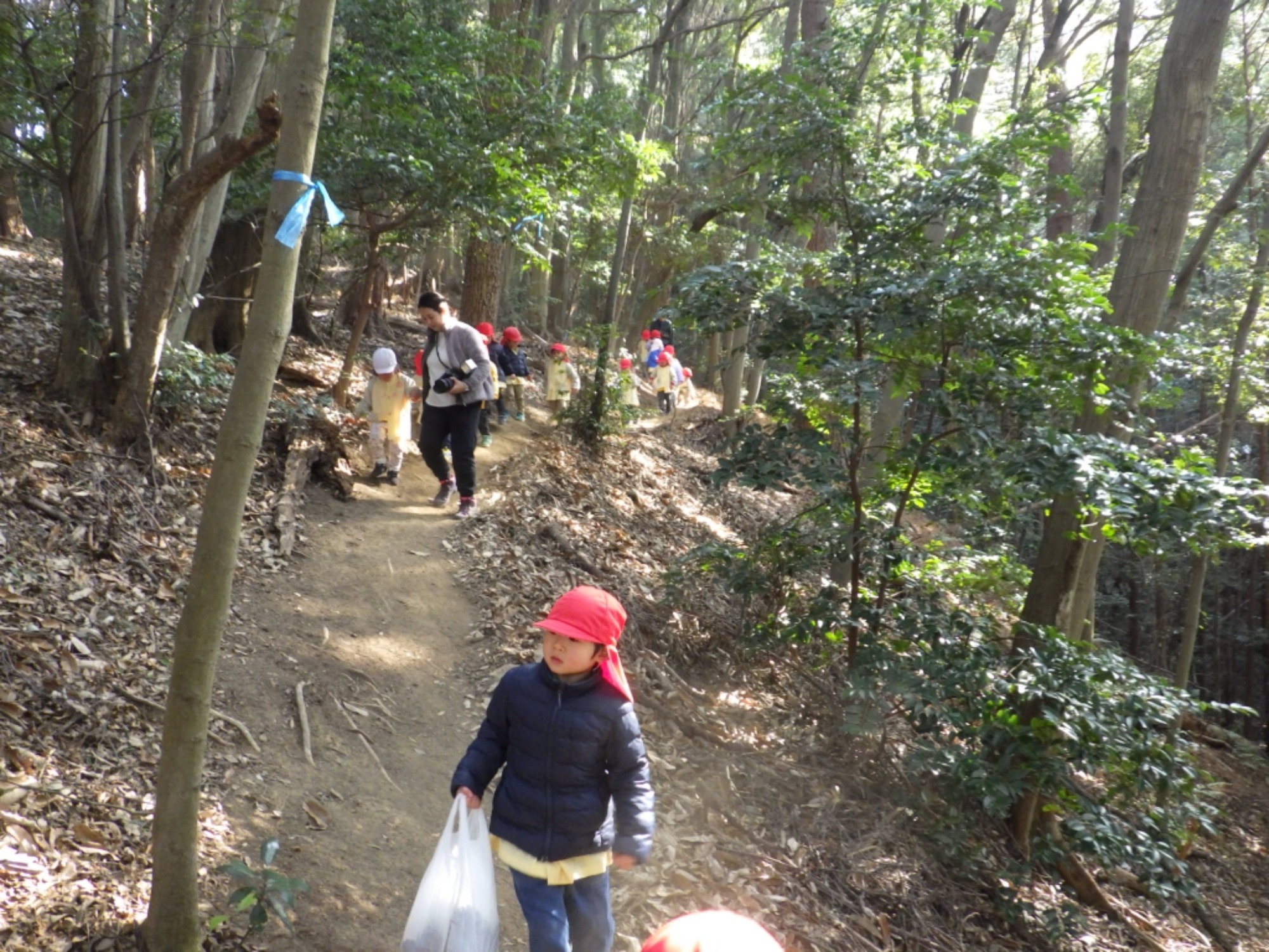 【年少】1/19　村積山　園外保育（2/2）