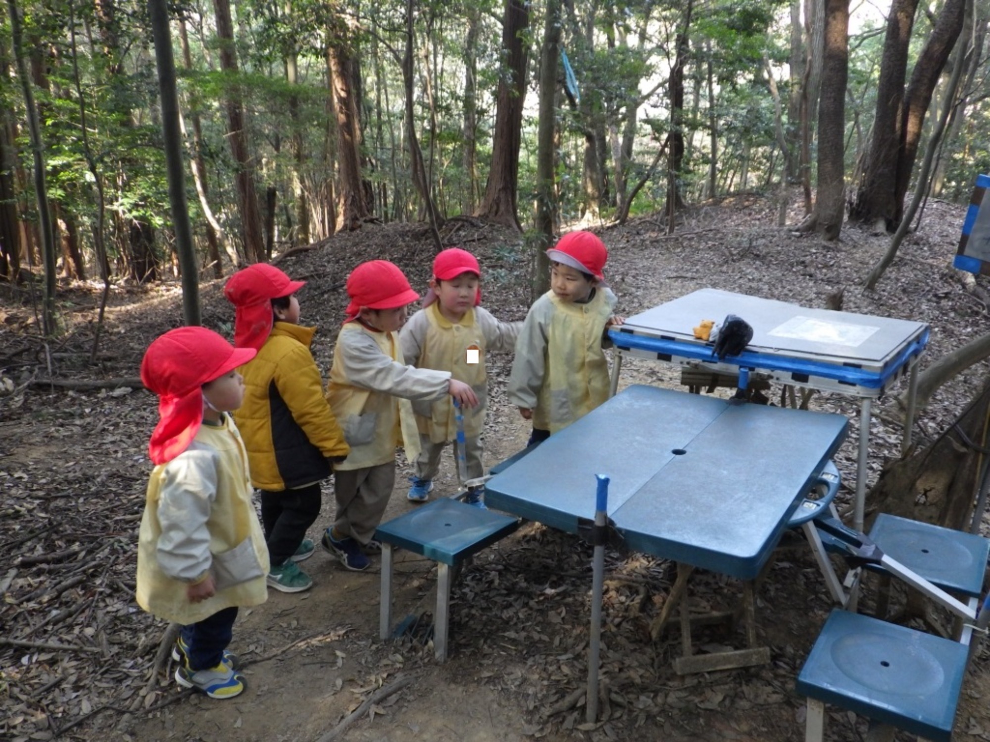 【年少】1/19　村積山　園外保育（2/2）