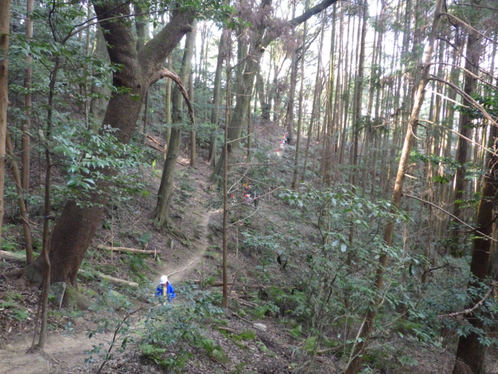 【年少】1/19　村積山　園外保育（2/2）