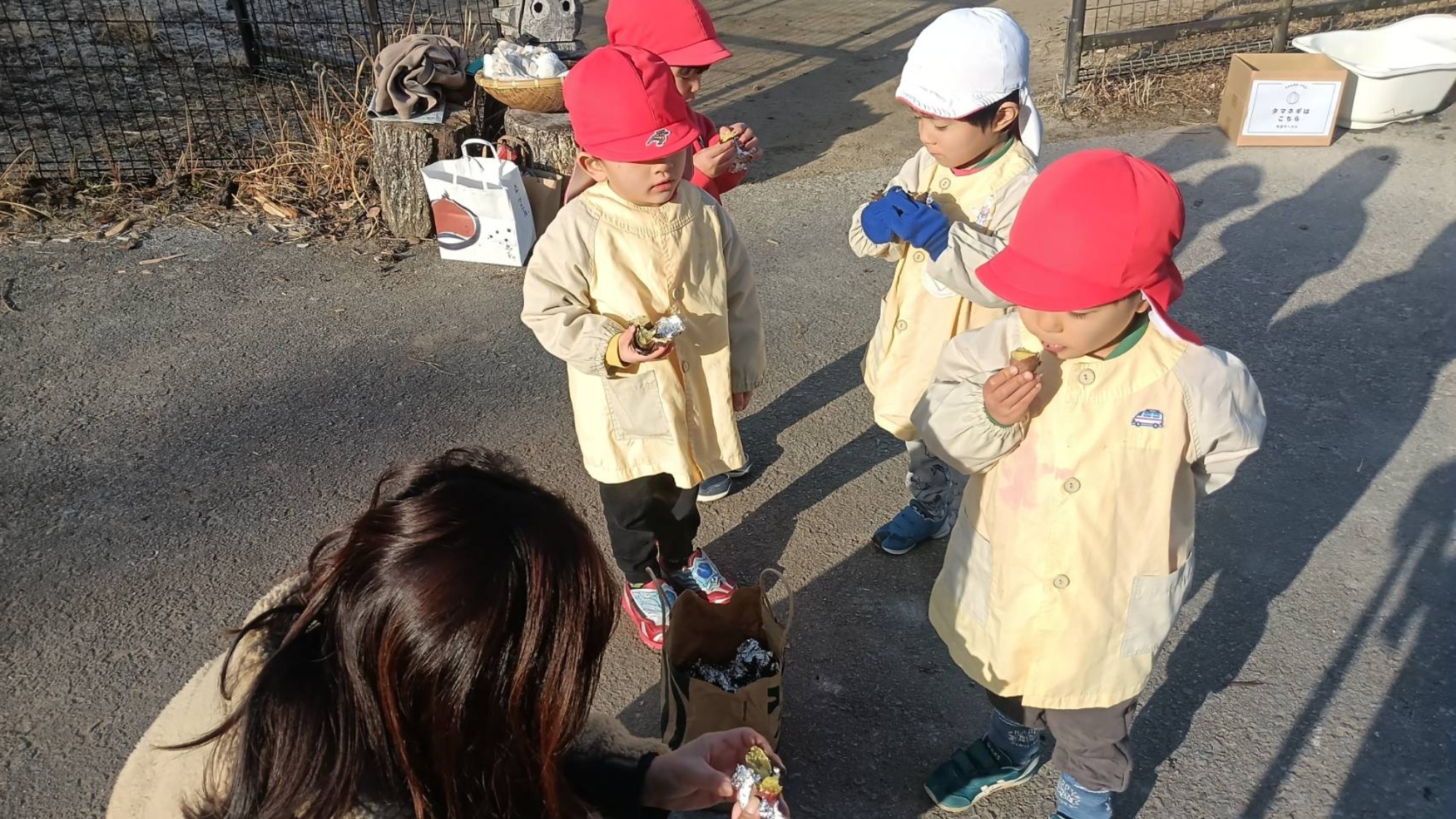 最近のいろいろ