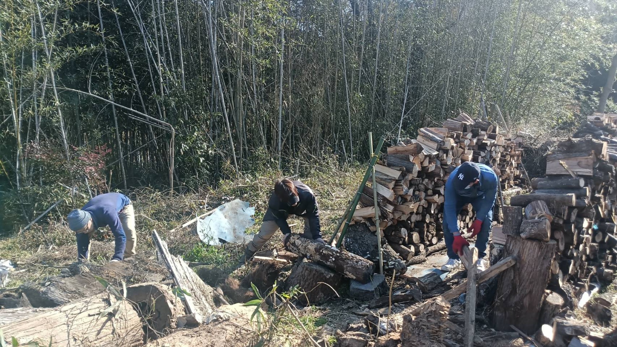 第２回　きこりクラブ