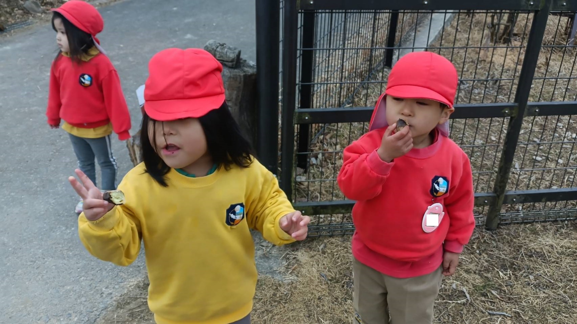 最近のいろいろ