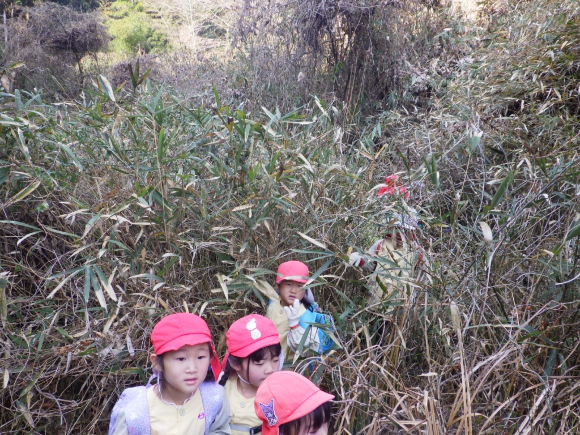 【年長】2/16 村積山 園外保育(1/4)