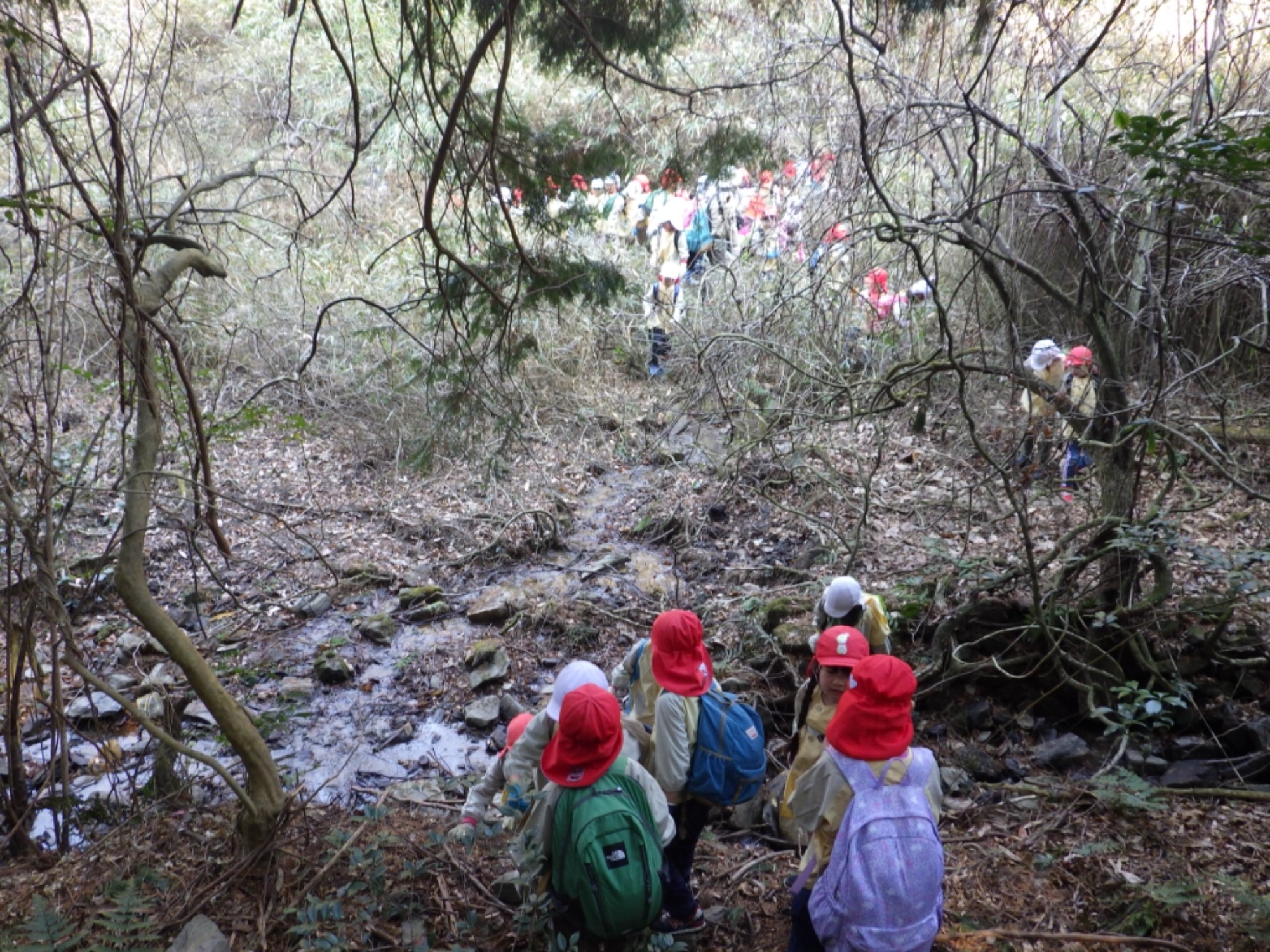 【年長】2/16 村積山 園外保育(1/4)