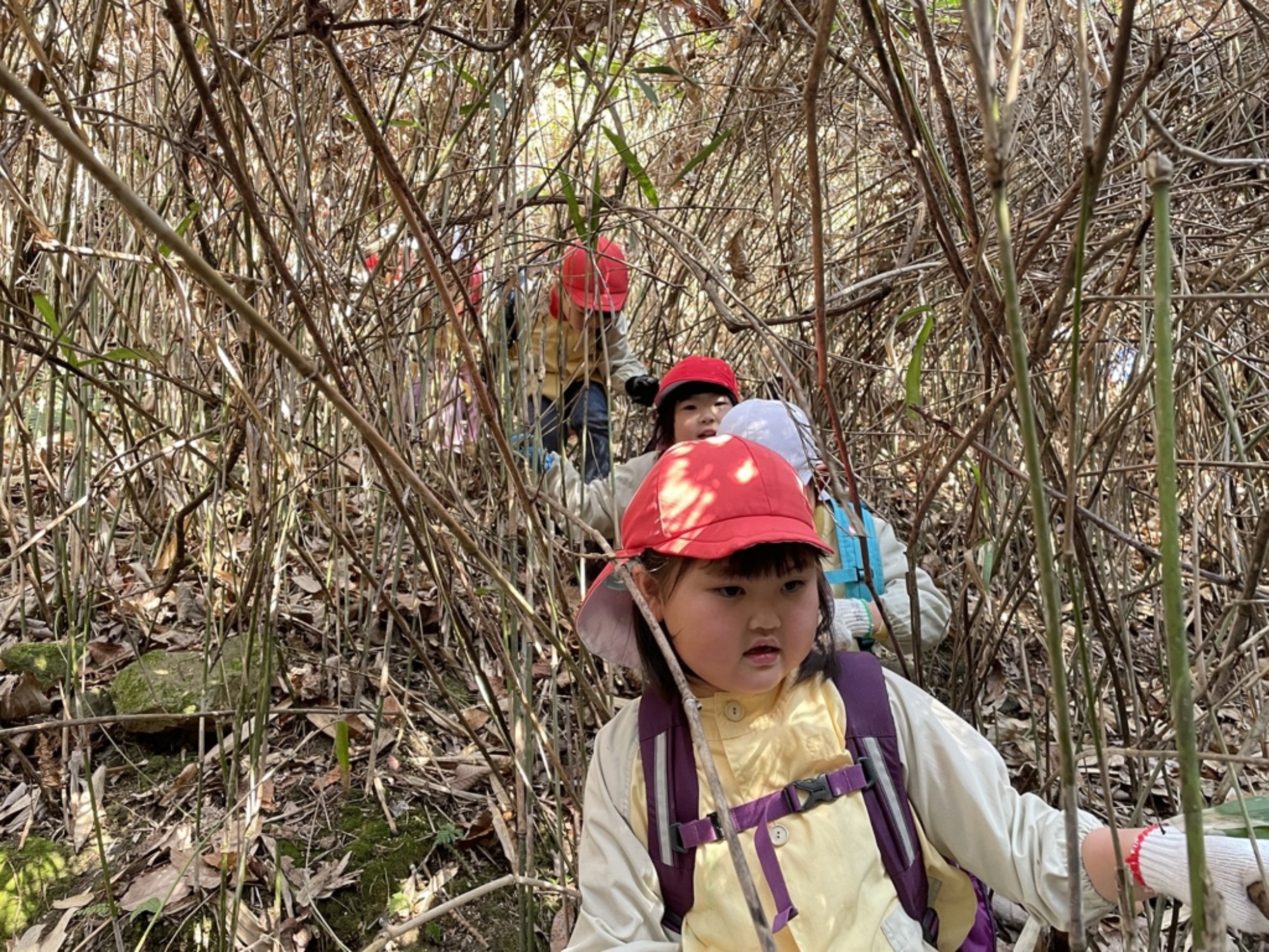 【年長】2/16 村積山 園外保育(1/4)