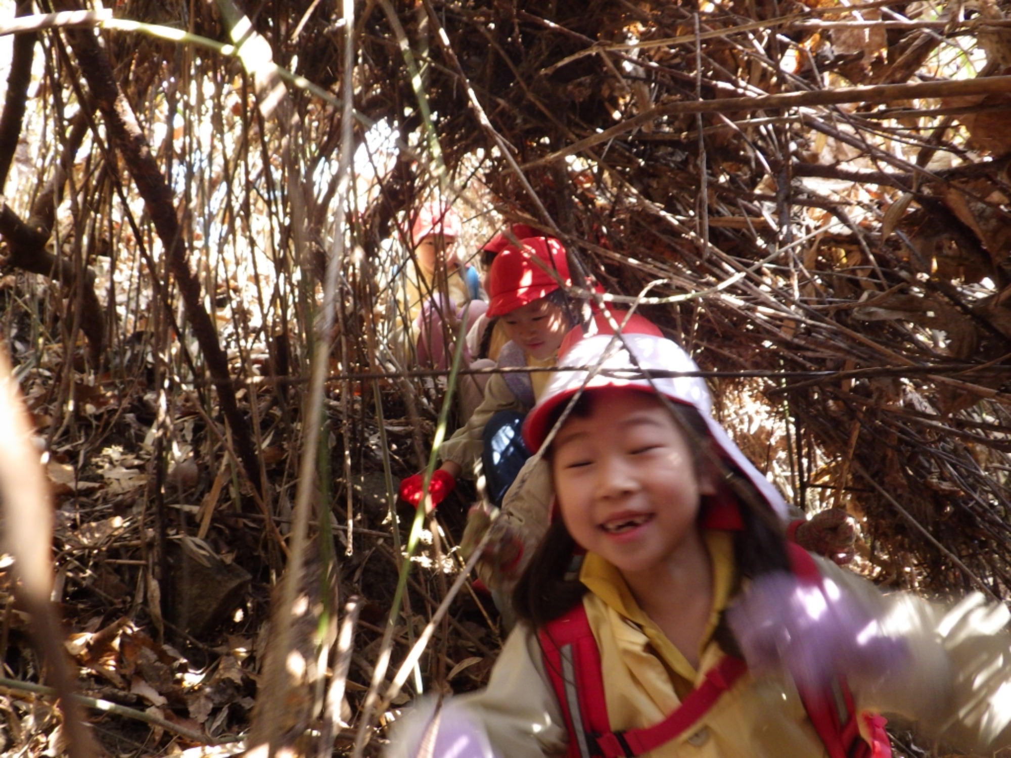 【年長】2/16 村積山 園外保育(1/4)