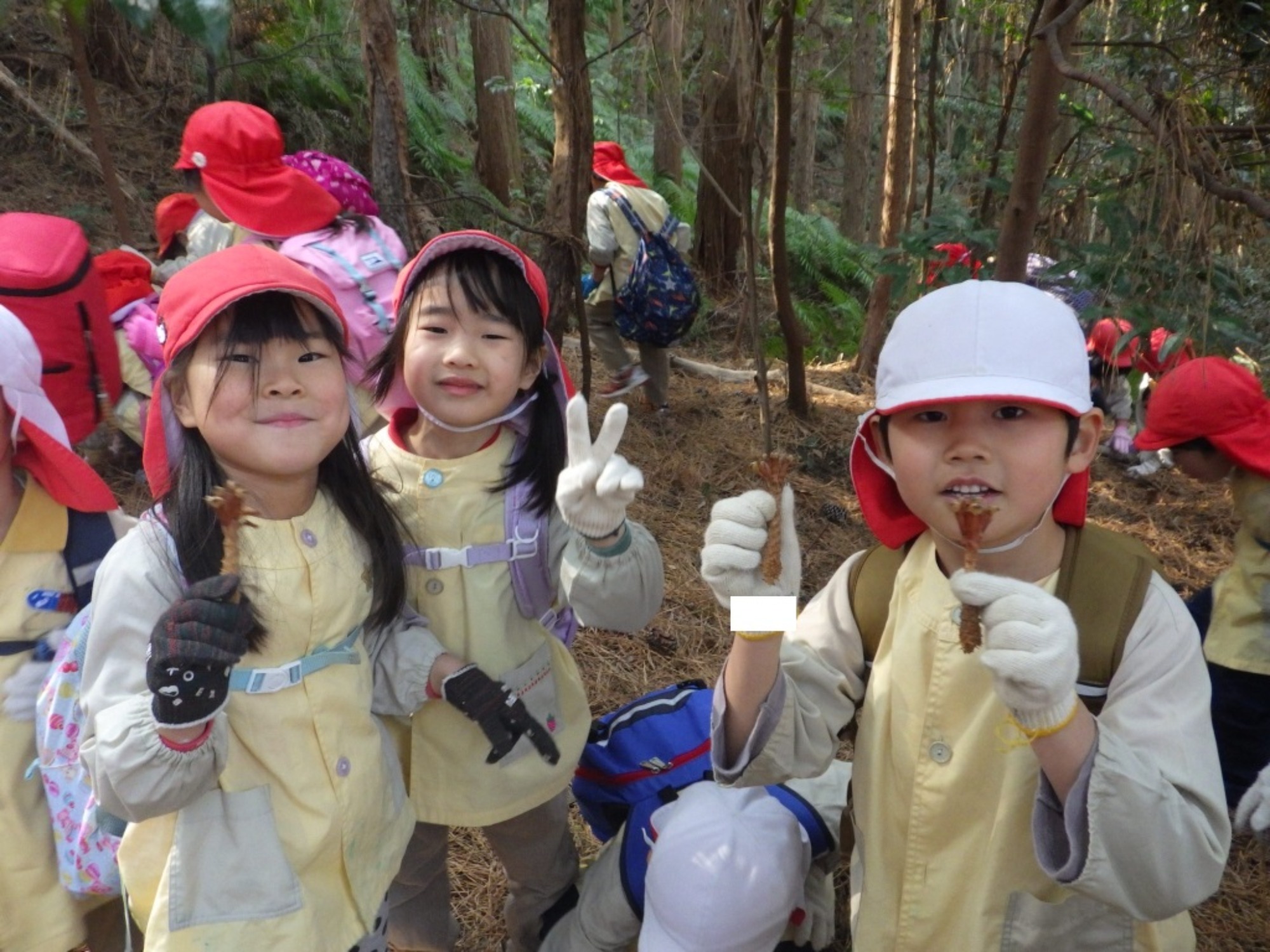 【年長】2/16 村積山 園外保育(2/4)