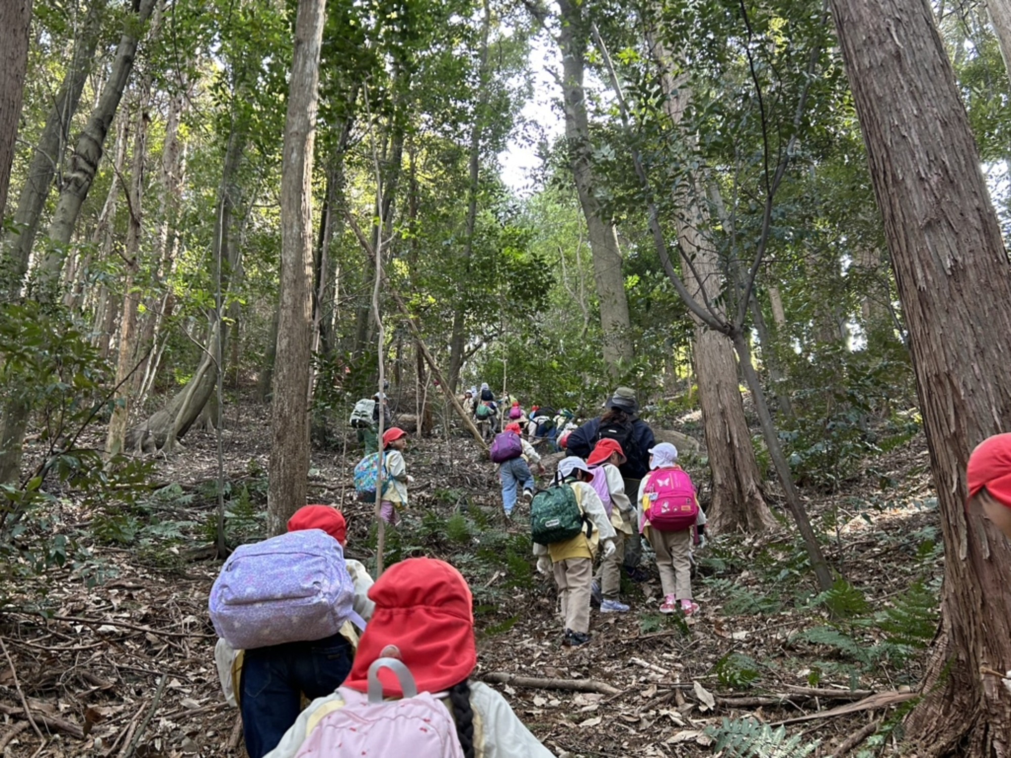 【年長】2/16 村積山 園外保育(2/4)