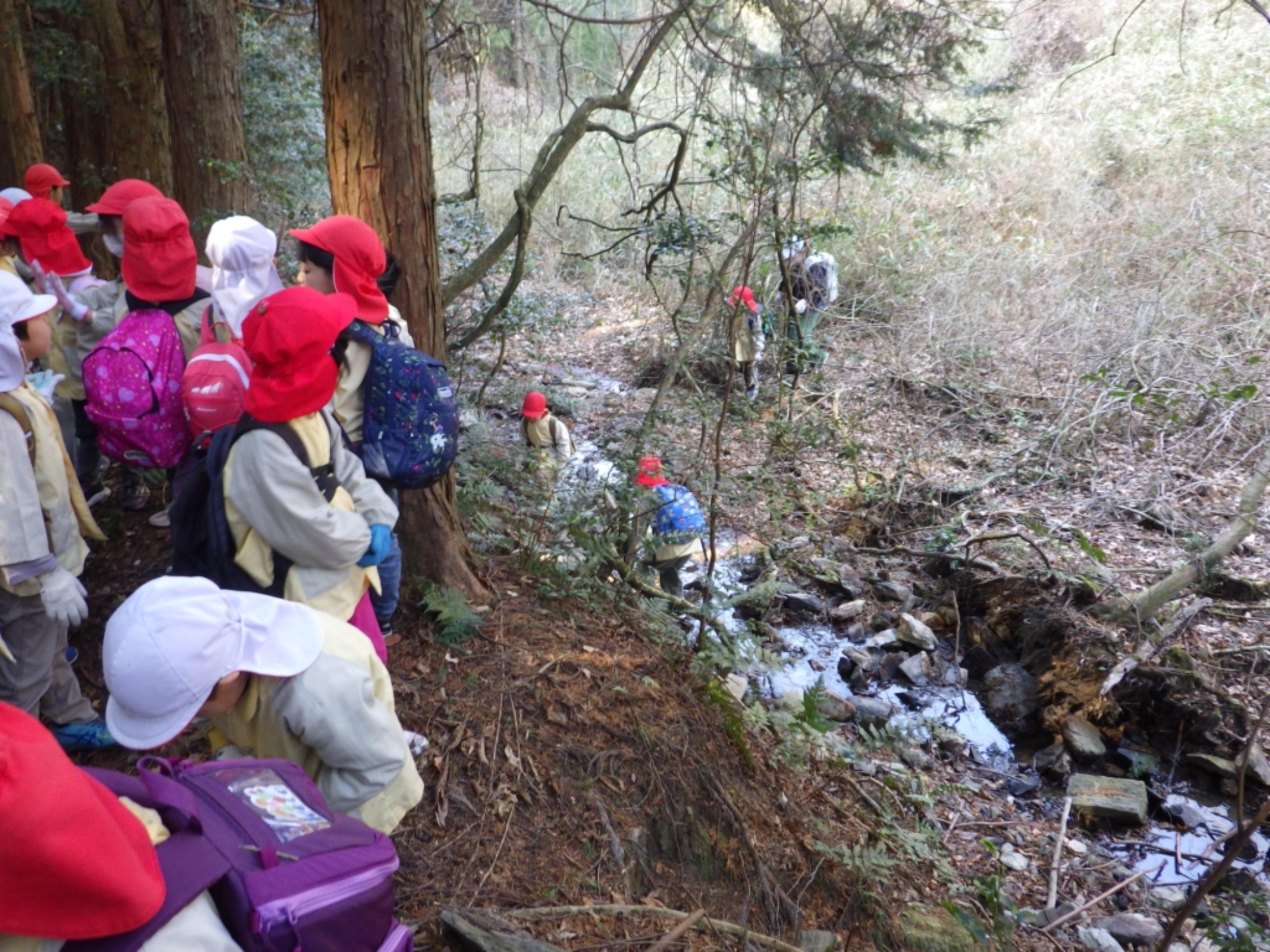 【年長】2/16 村積山 園外保育(2/4)