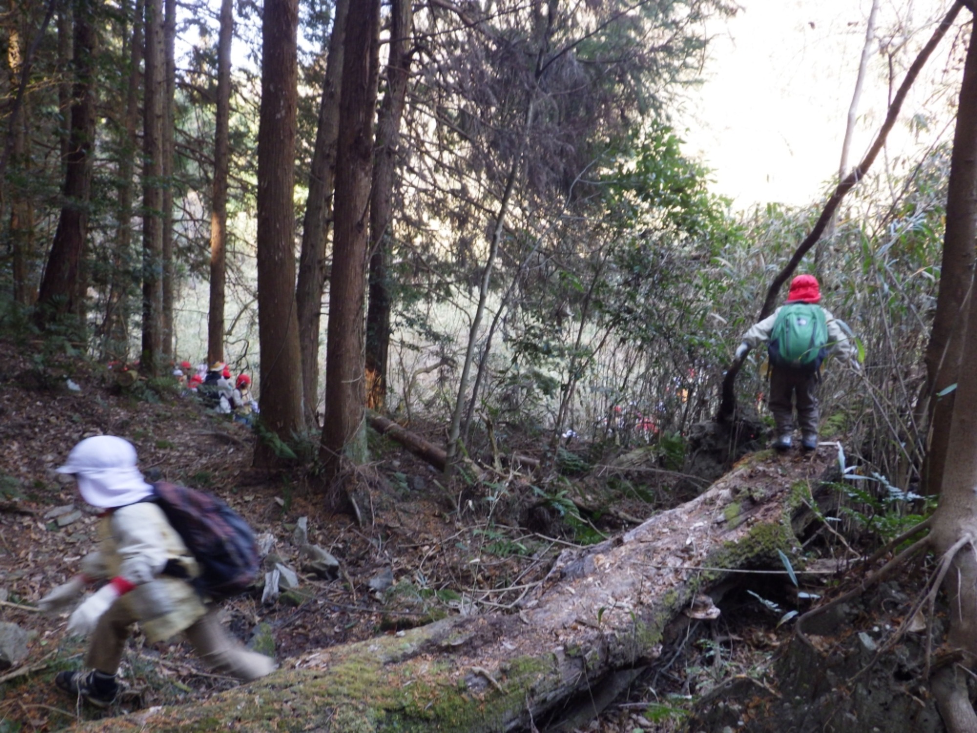 【年長】2/16 村積山 園外保育(2/4)