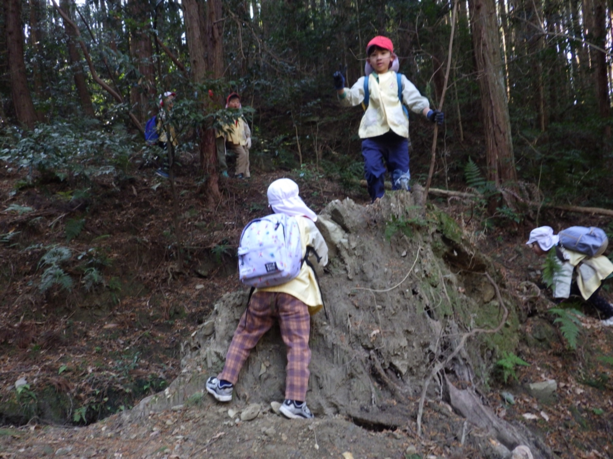 【年長】2/16 村積山 園外保育(2/4)