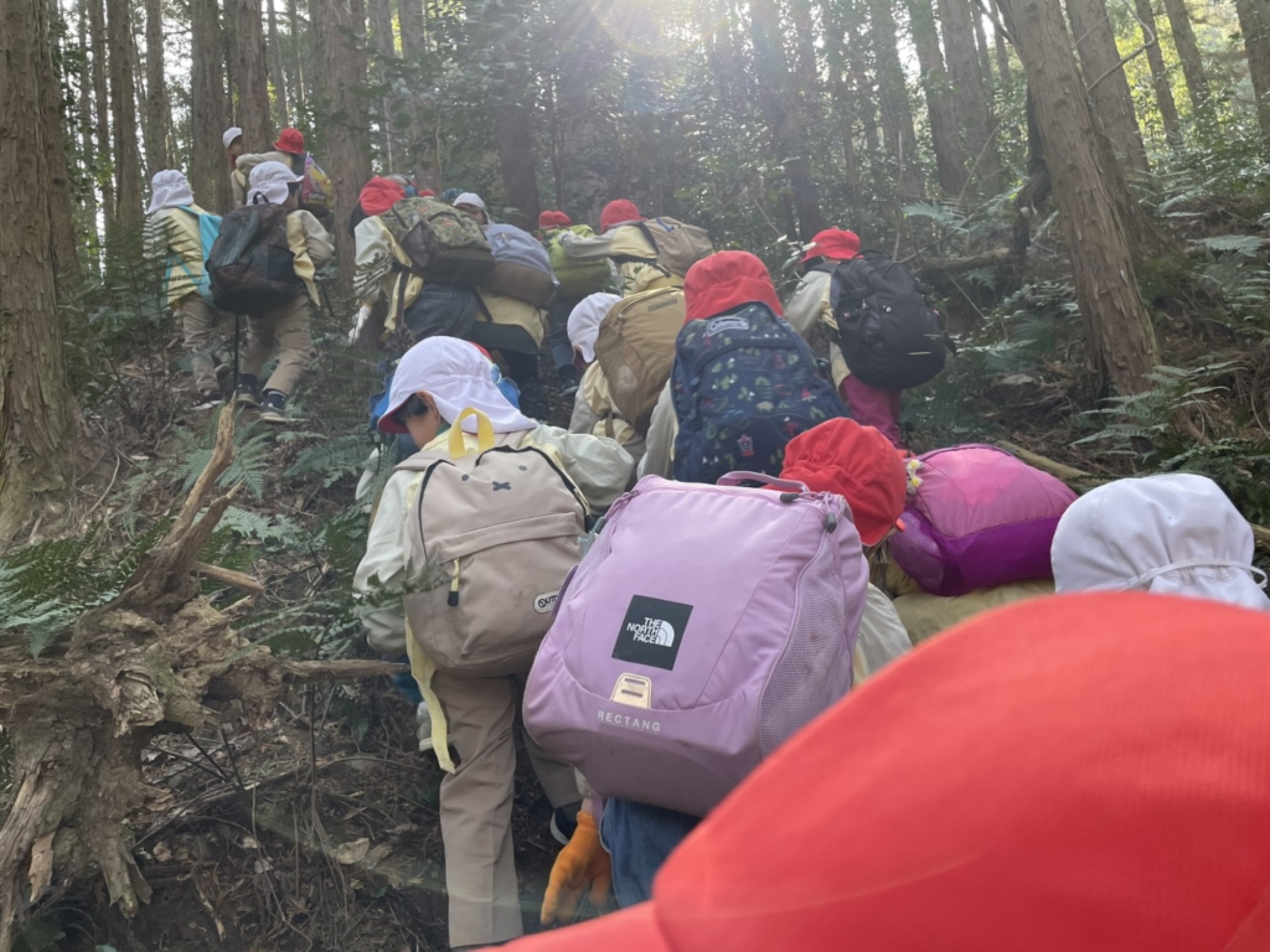 【年長】2/16 村積山 園外保育(2/4)