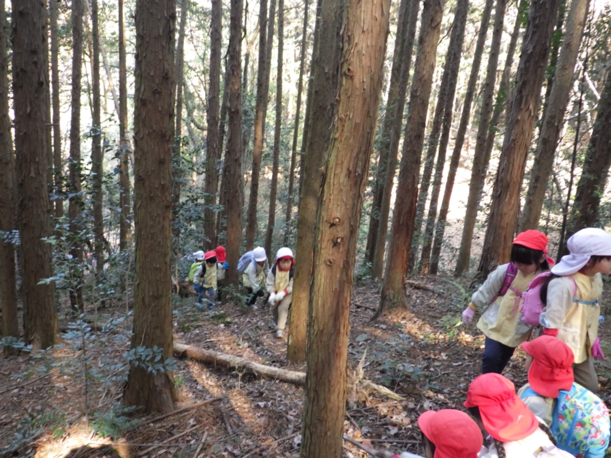 【年長】2/16 村積山 園外保育(2/4)