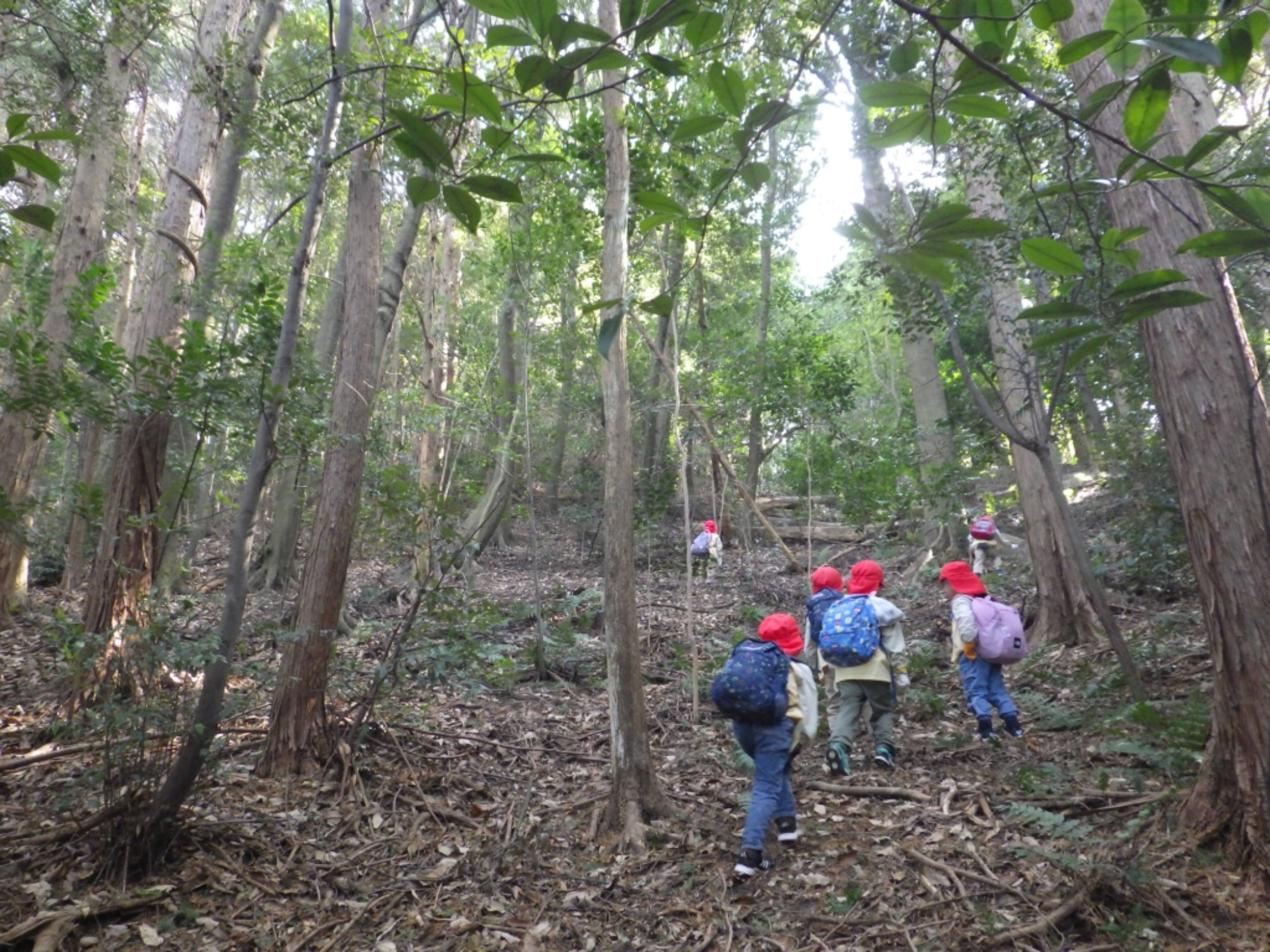 【年長】2/16　村積山　園外保育（3/4）