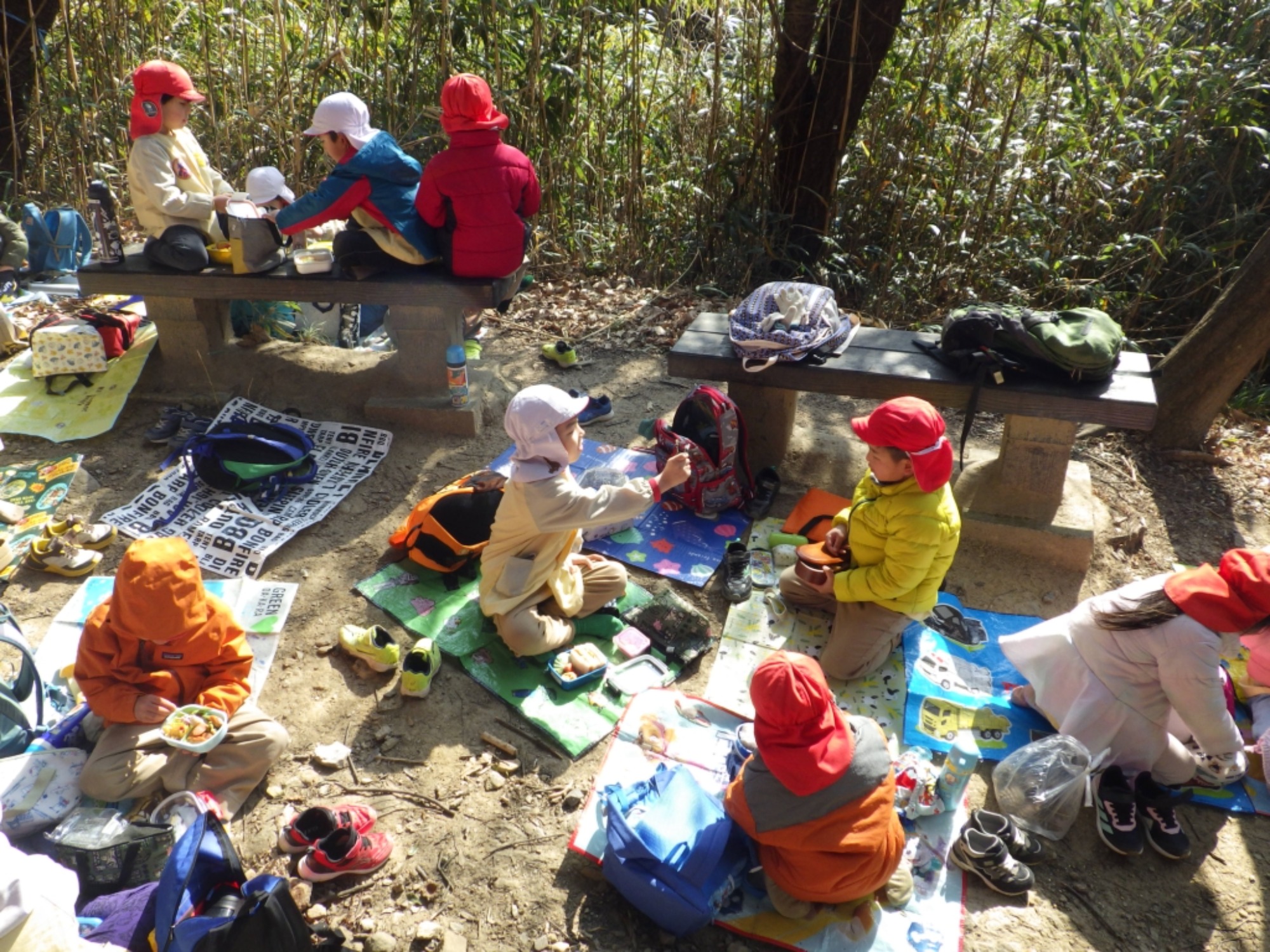 【年長】2/16　村積山　園外保育（3/4）