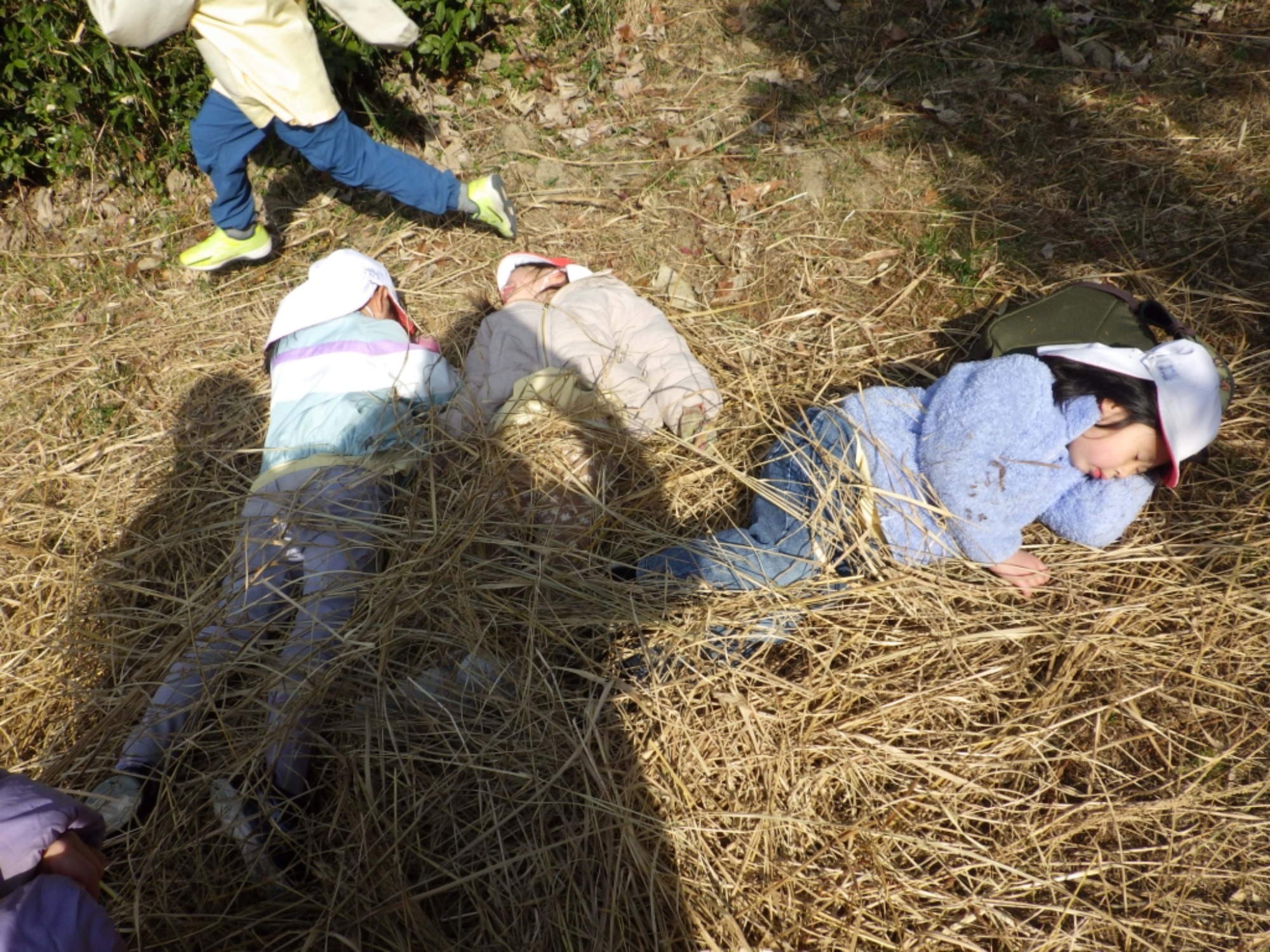 【年長】2/16 村積山 園外保育(4/4)